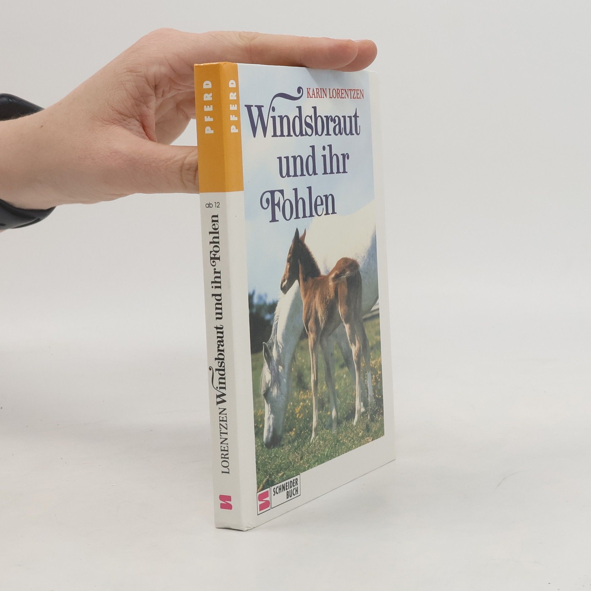 Karin Lorentzen Windsbraut und ihr Fohlen