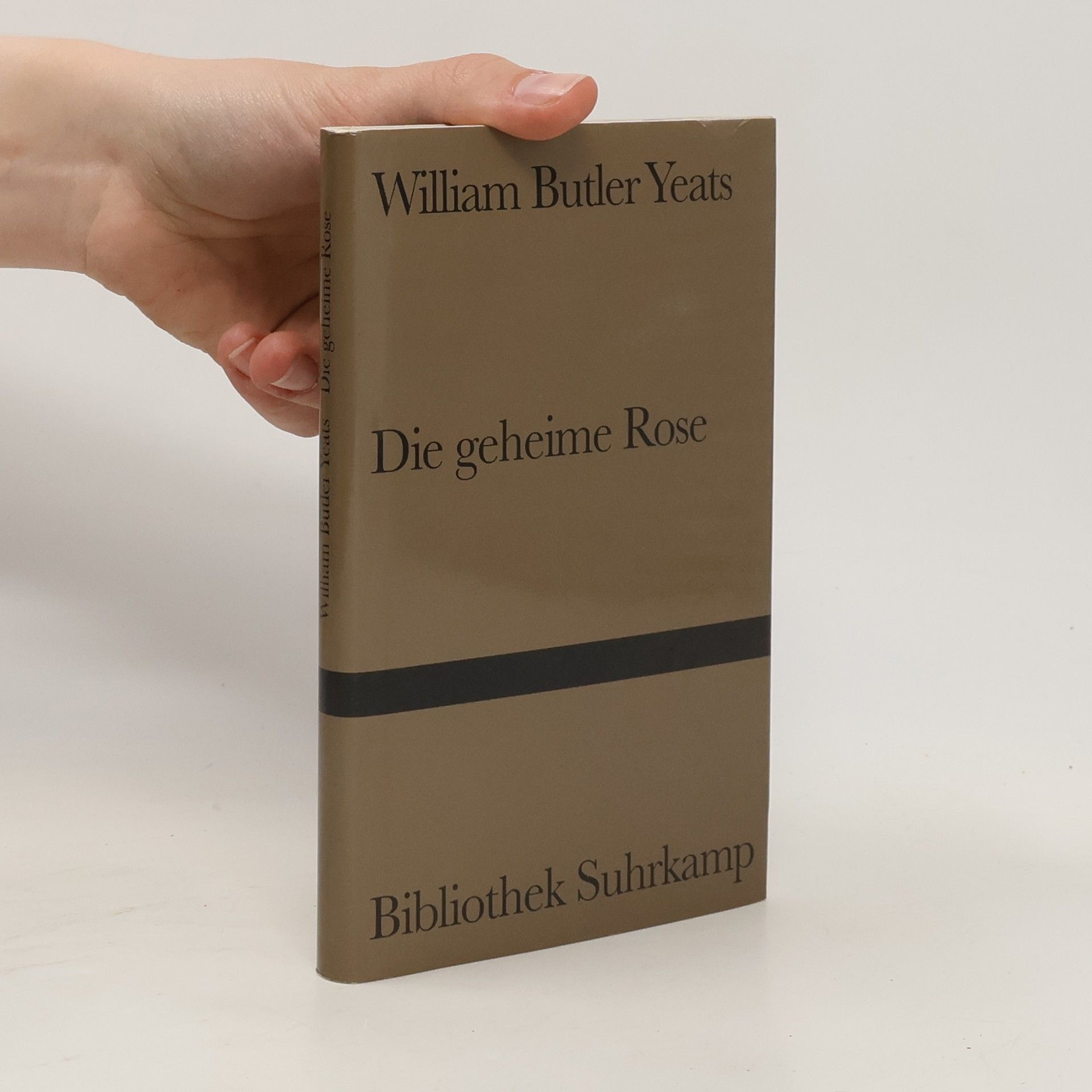 William Butler Yeats Die geheime Rose