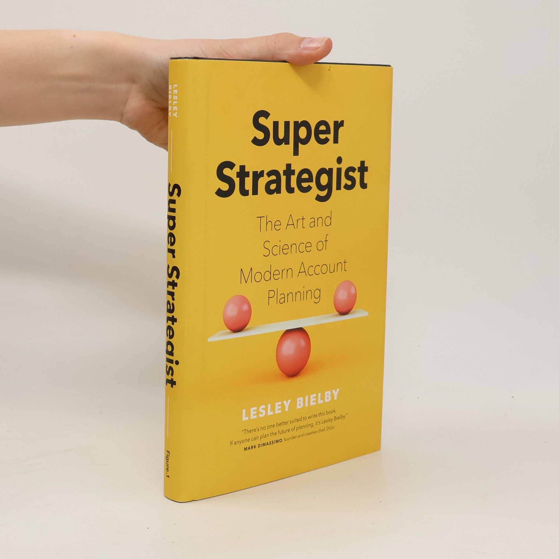 Lesley Bielby Super Strategist