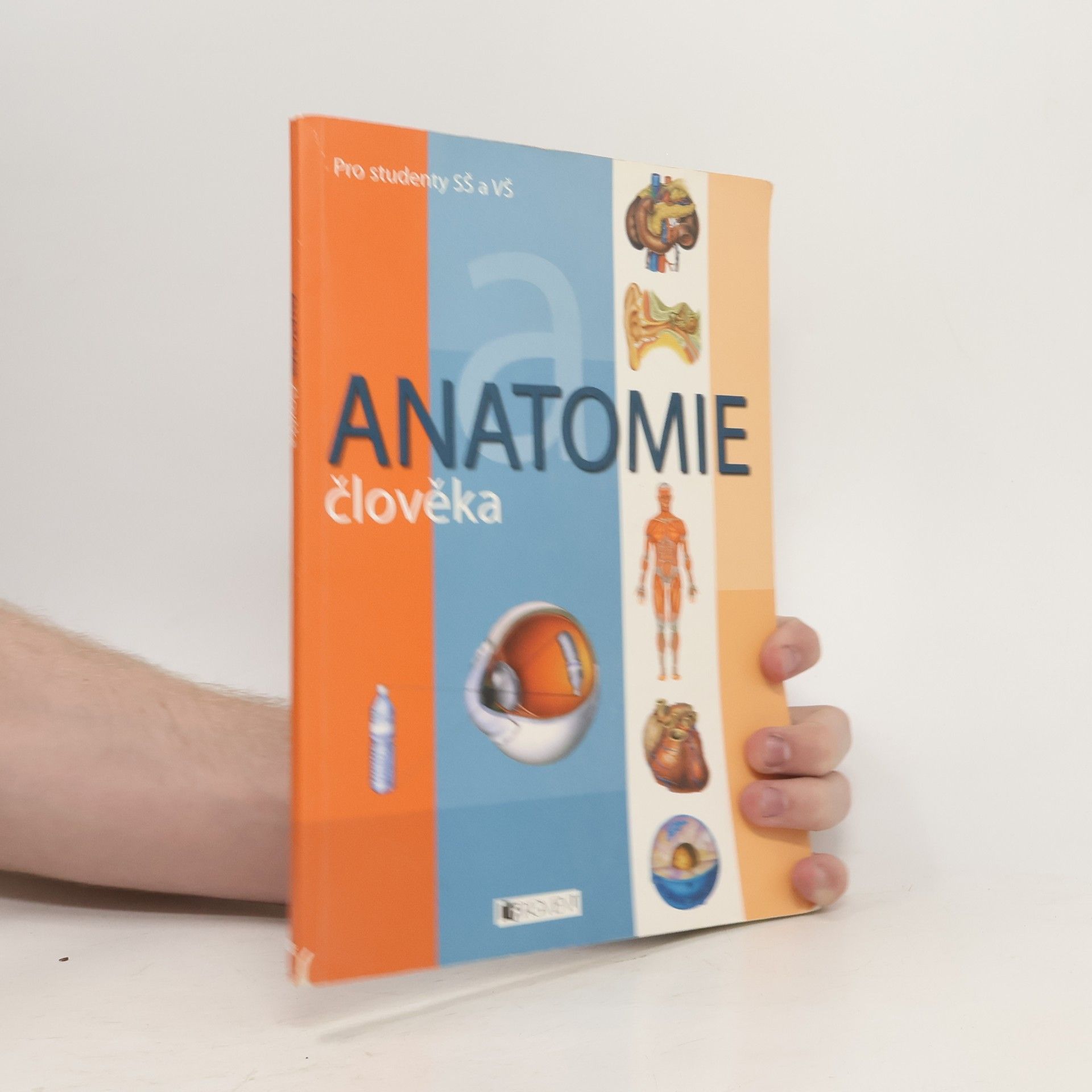 Adolfo Cassan Anatomie člověka