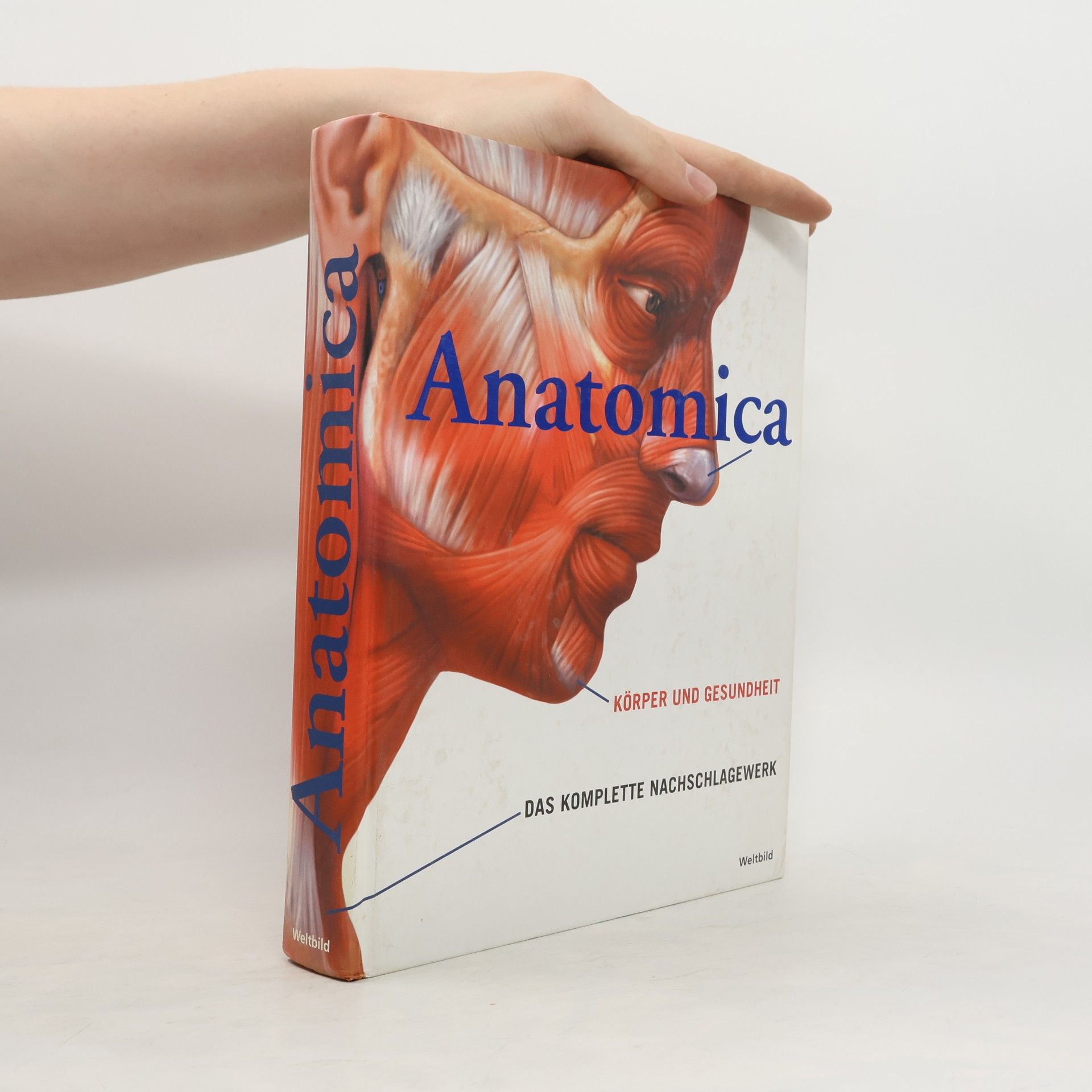 Gordon Cheers Anatomica