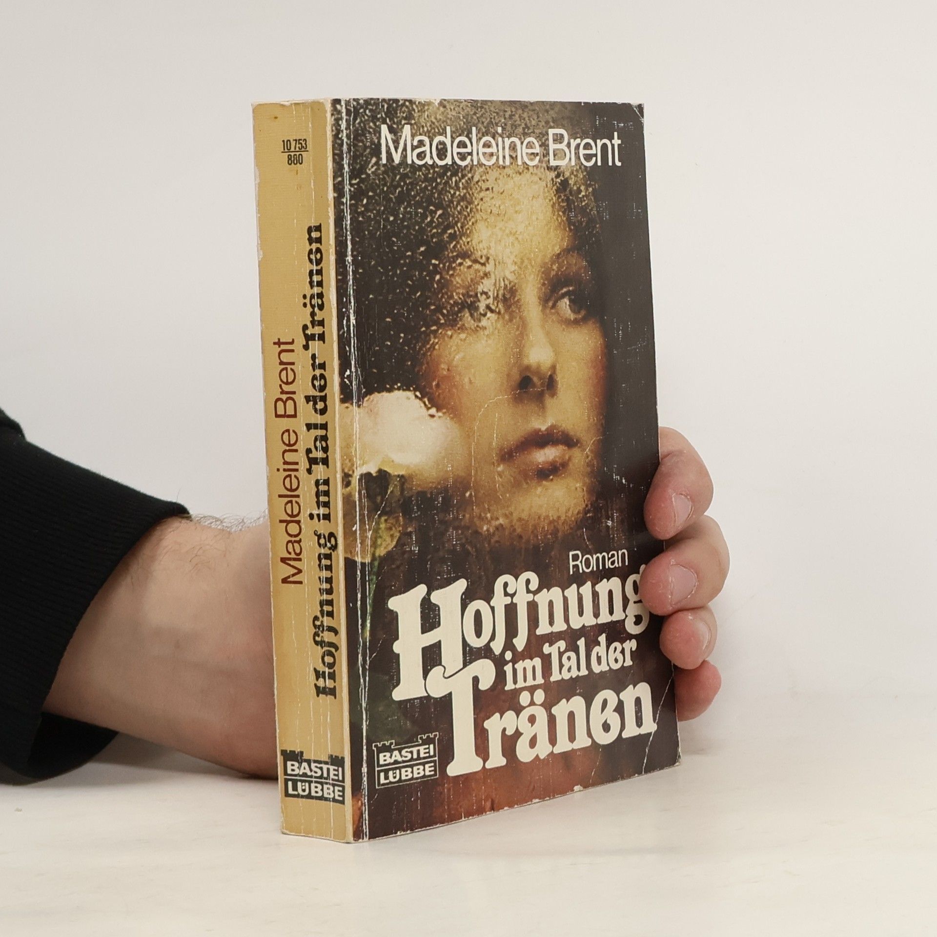 Madeleine Brent Hoffnung im Tal der Tränen