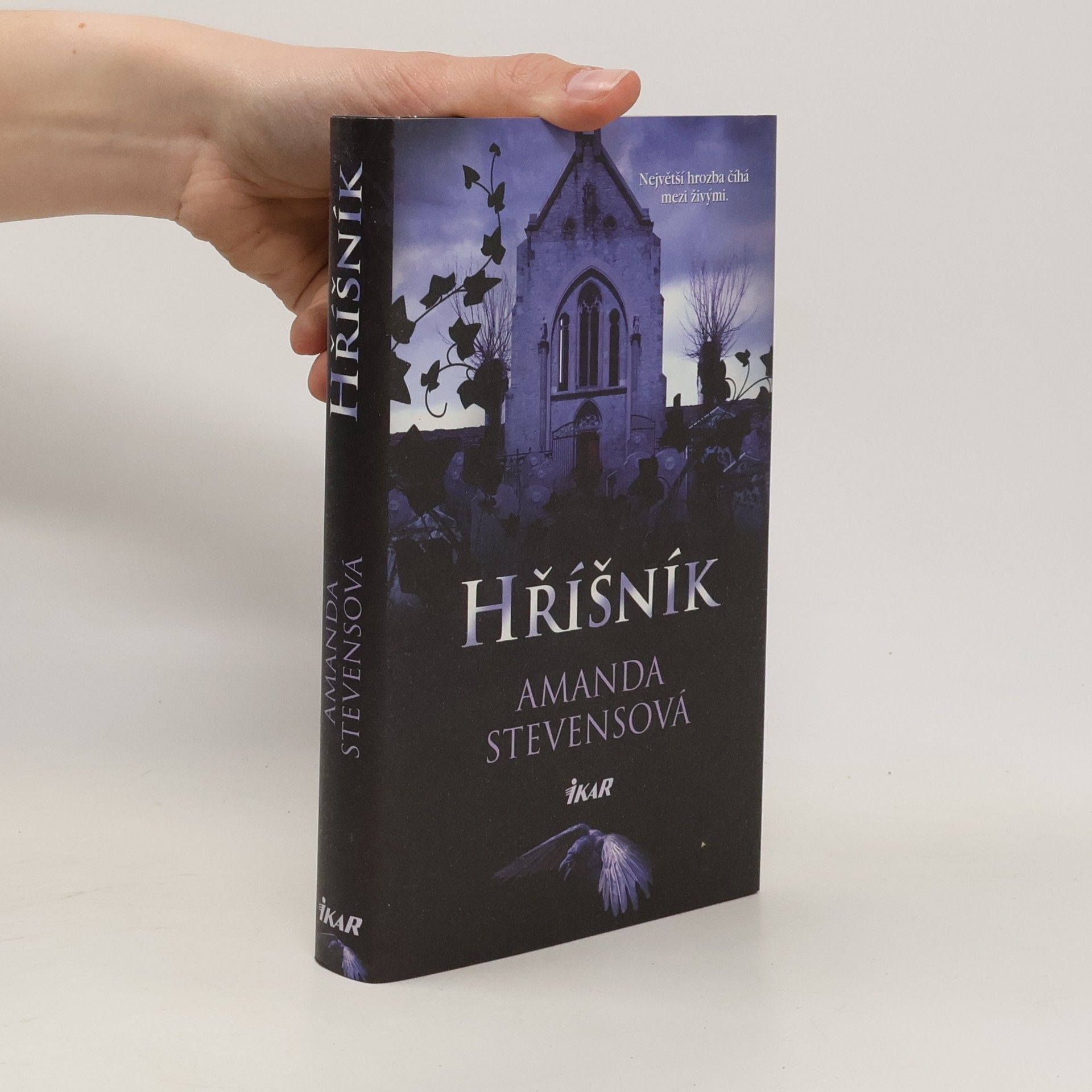 Amanda Stevens Hříšník