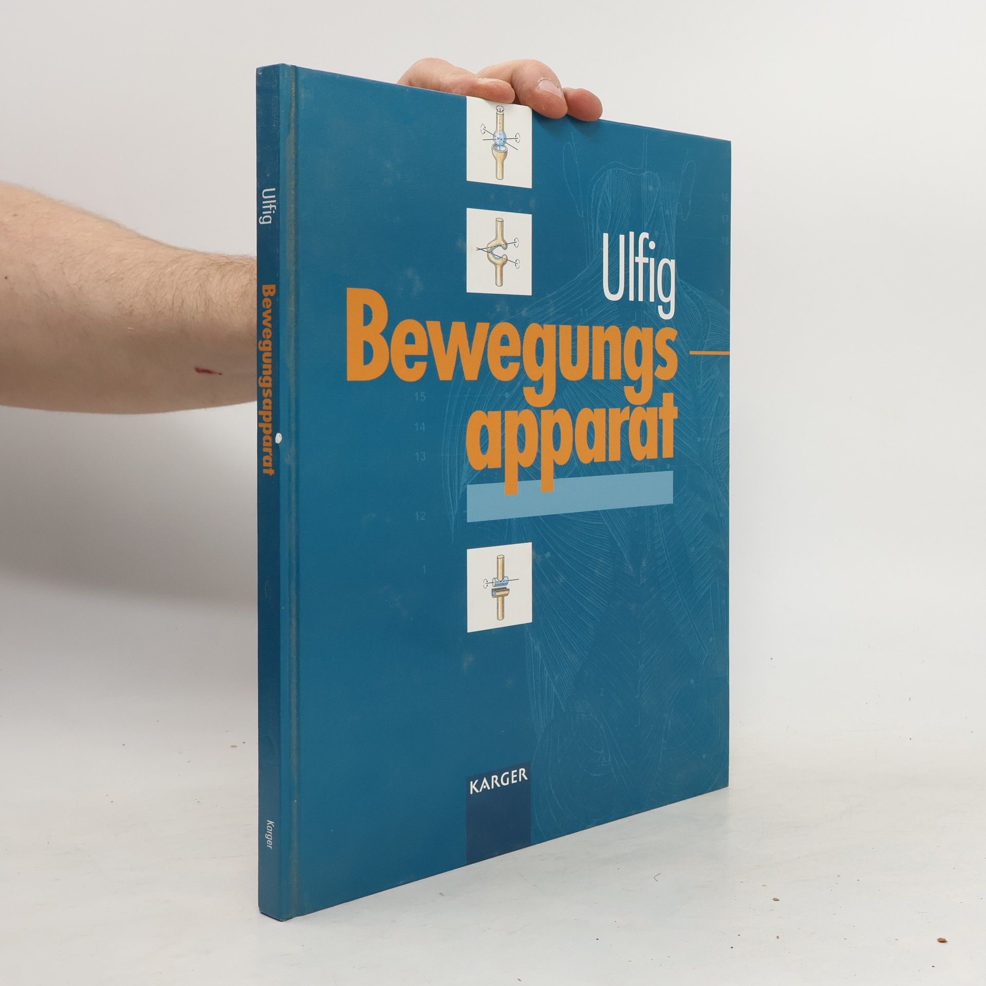 Norbert Ulfig Bewegungsapparat