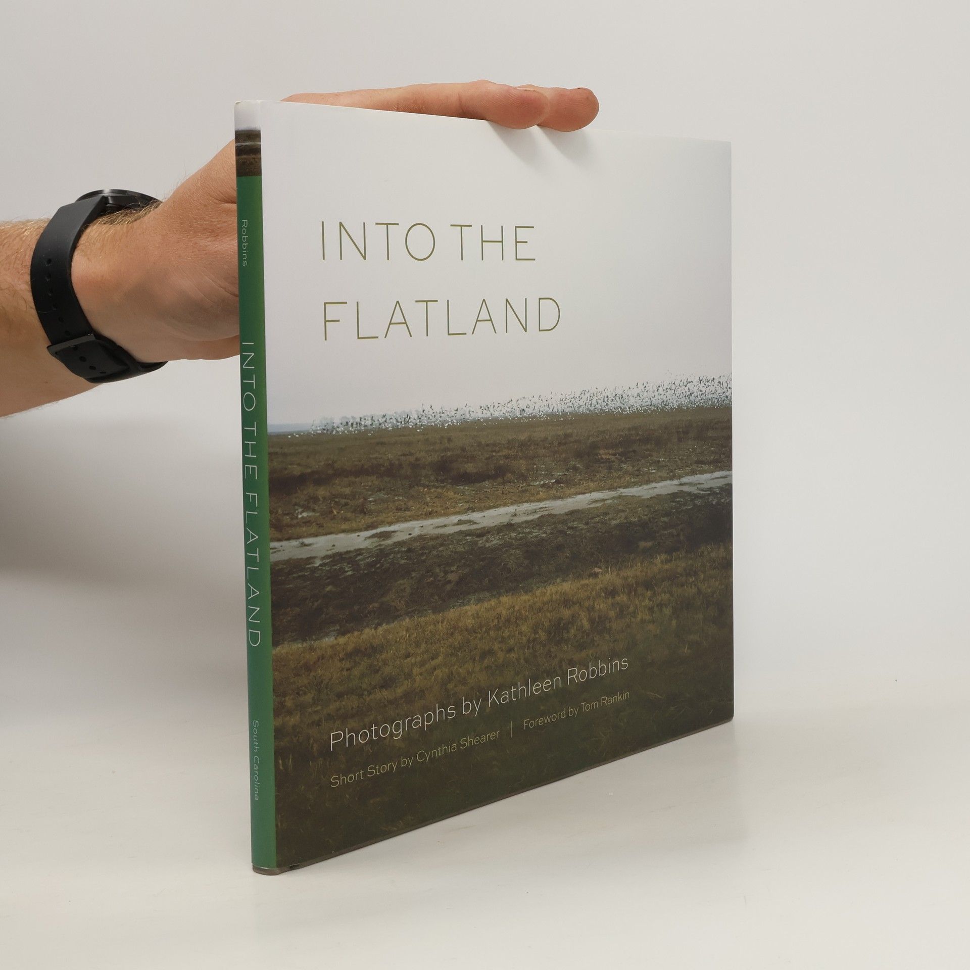Kathleen Robbins Into the flatland