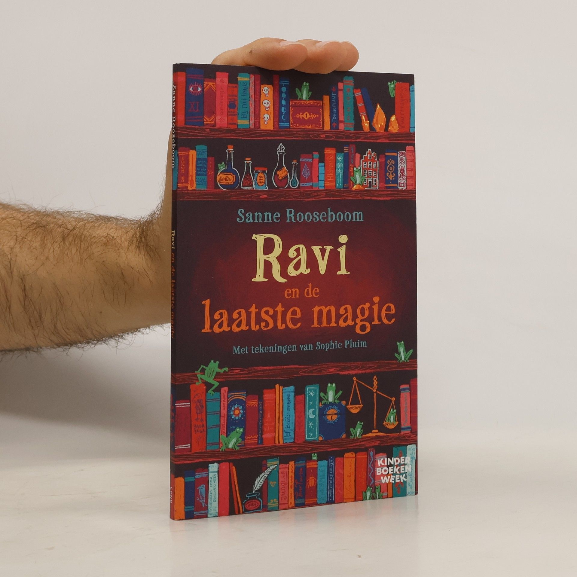 Sanne Rooseboom Ravi en de laatste magie
