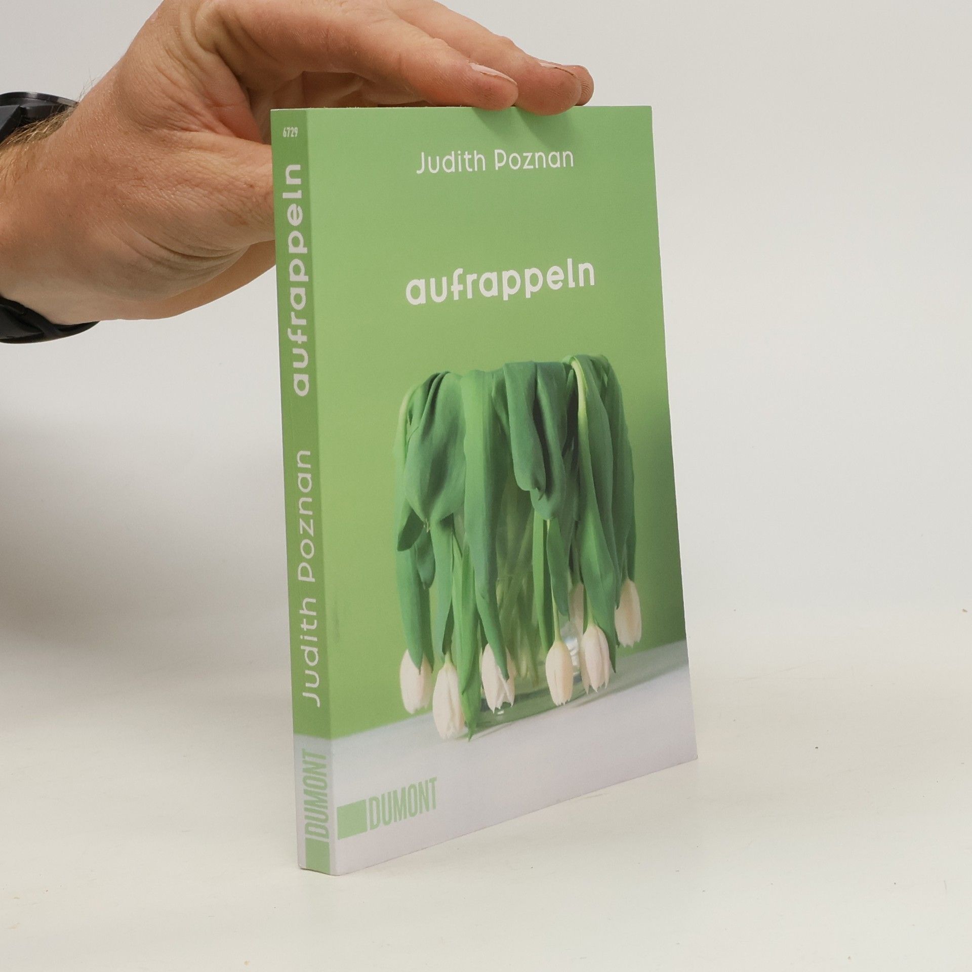 Judith Poznan Aufrappeln