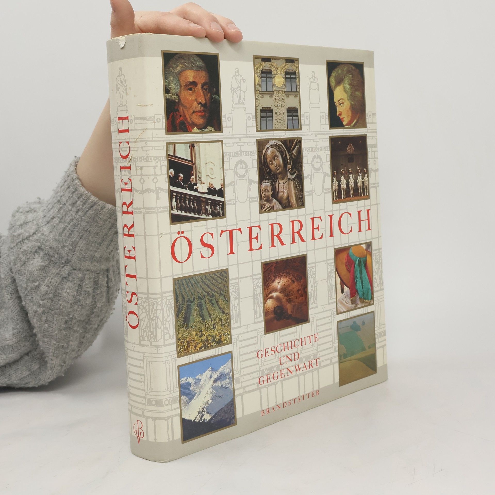 Kolektiv autorů Österreich : Geschichte und Gegenwart
