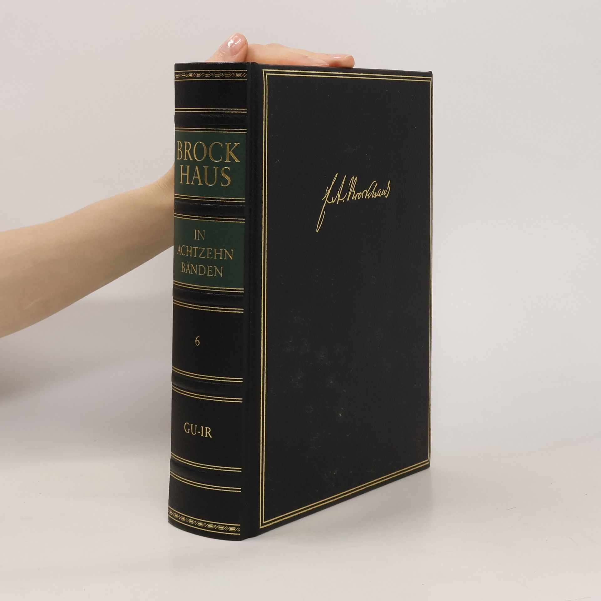 kolektiv Brockhaus 6. Gu-Ir