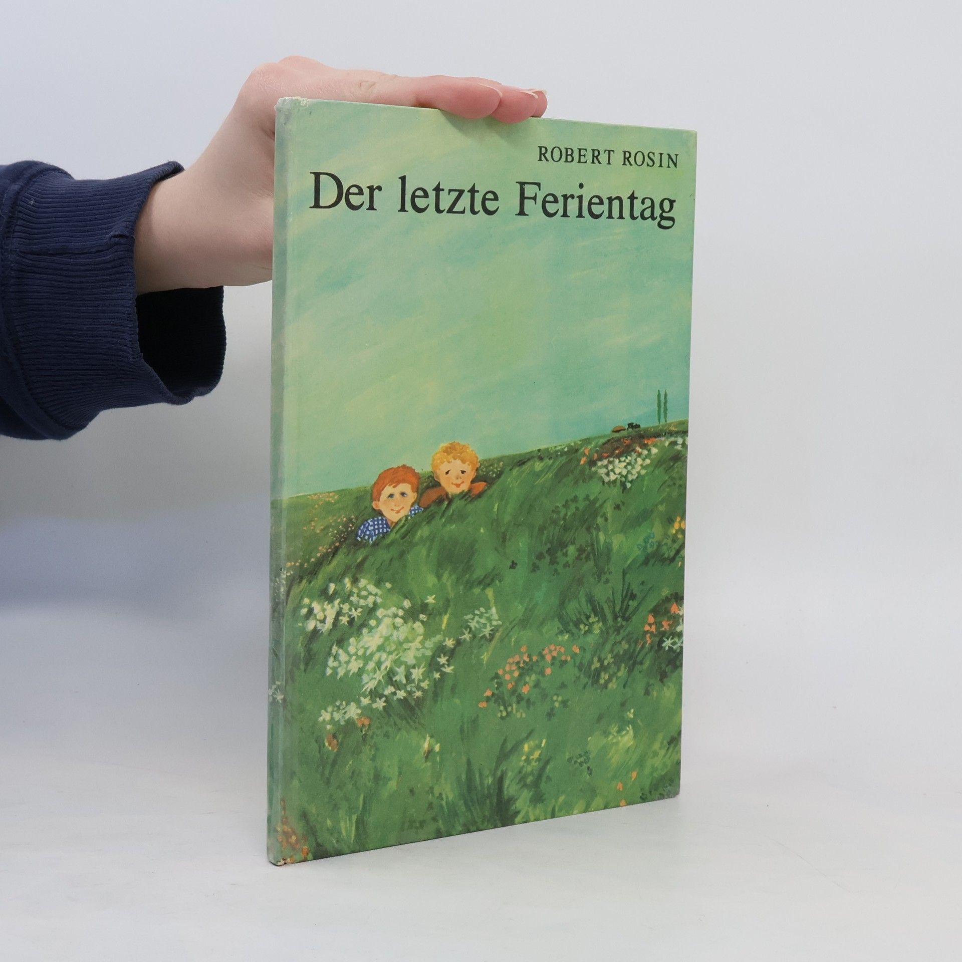 Robert Rosin Der letzte Ferientag