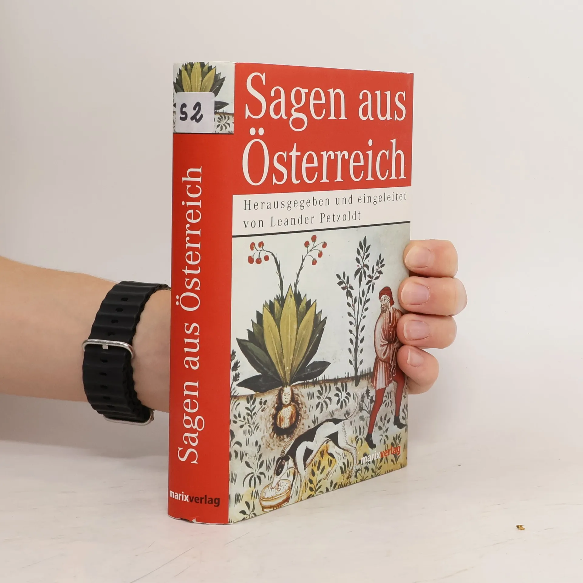 Sagen aus Österreich | Libro | Leander Petzoldt | DE