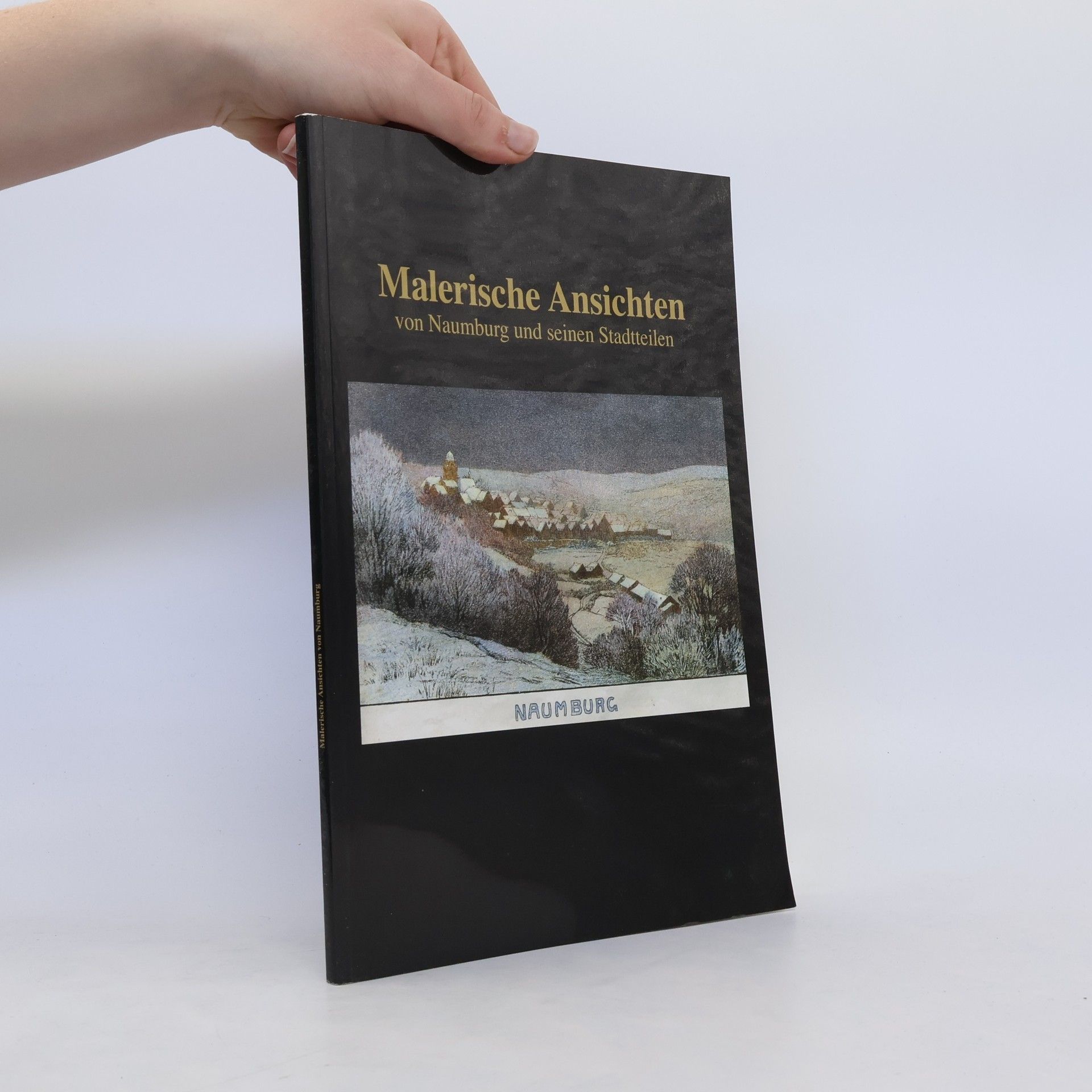 Collectif d'auteurs Malerische Ansichten von Naumburg und seinen Stadtteilen