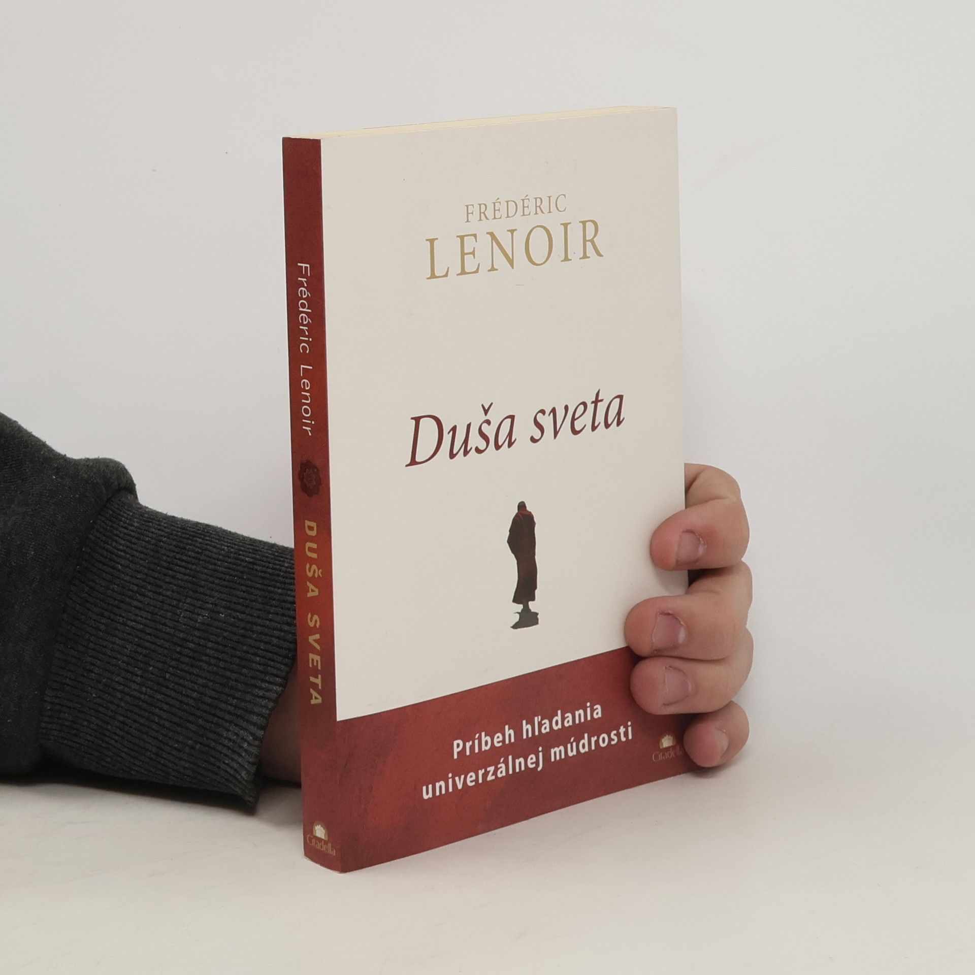 Frédéric Lenoir Duša sveta