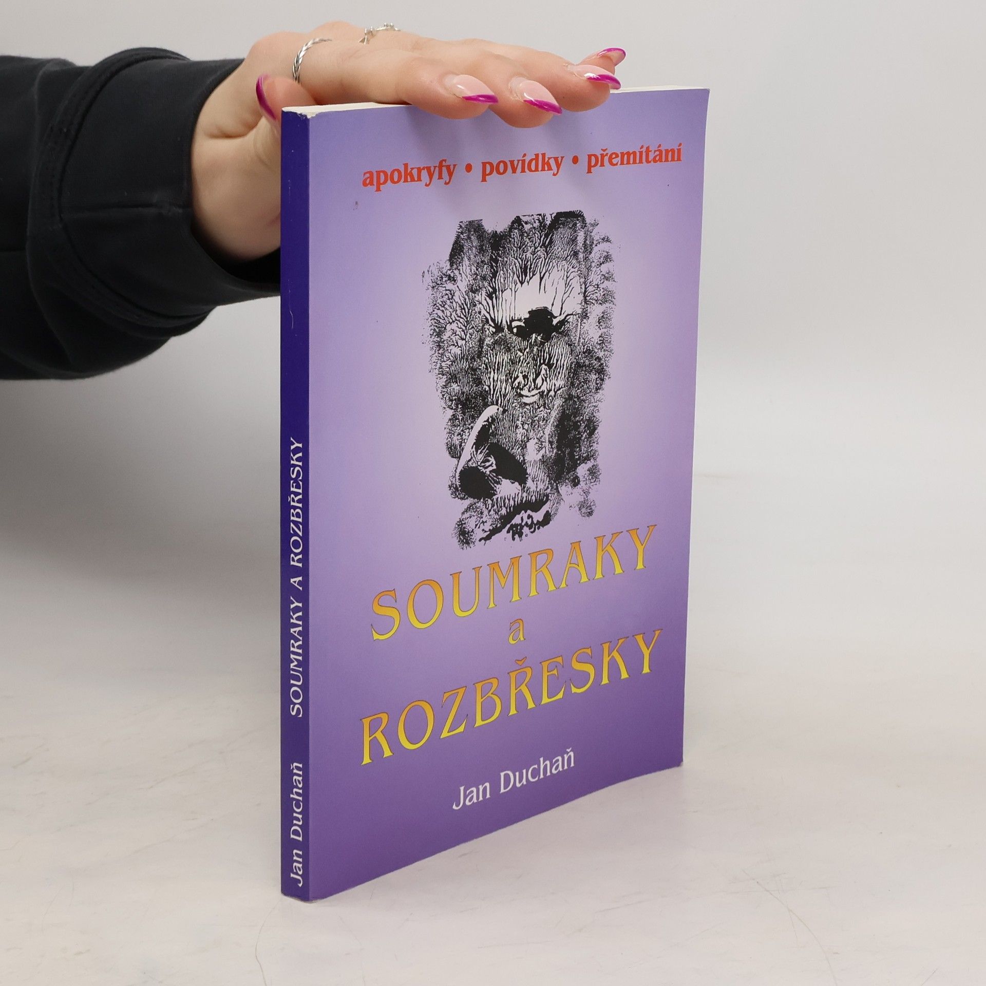 Jan Duchaň Soumraky a rozbřesky. Apokryfy, povídky, přemítání