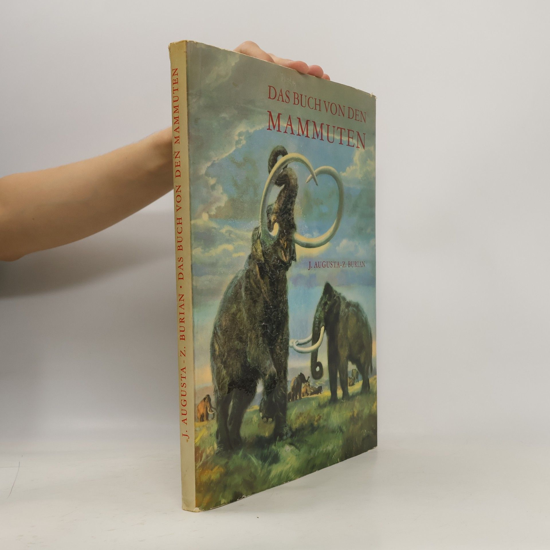 Josef Augusta Das Buch von den Mammuten