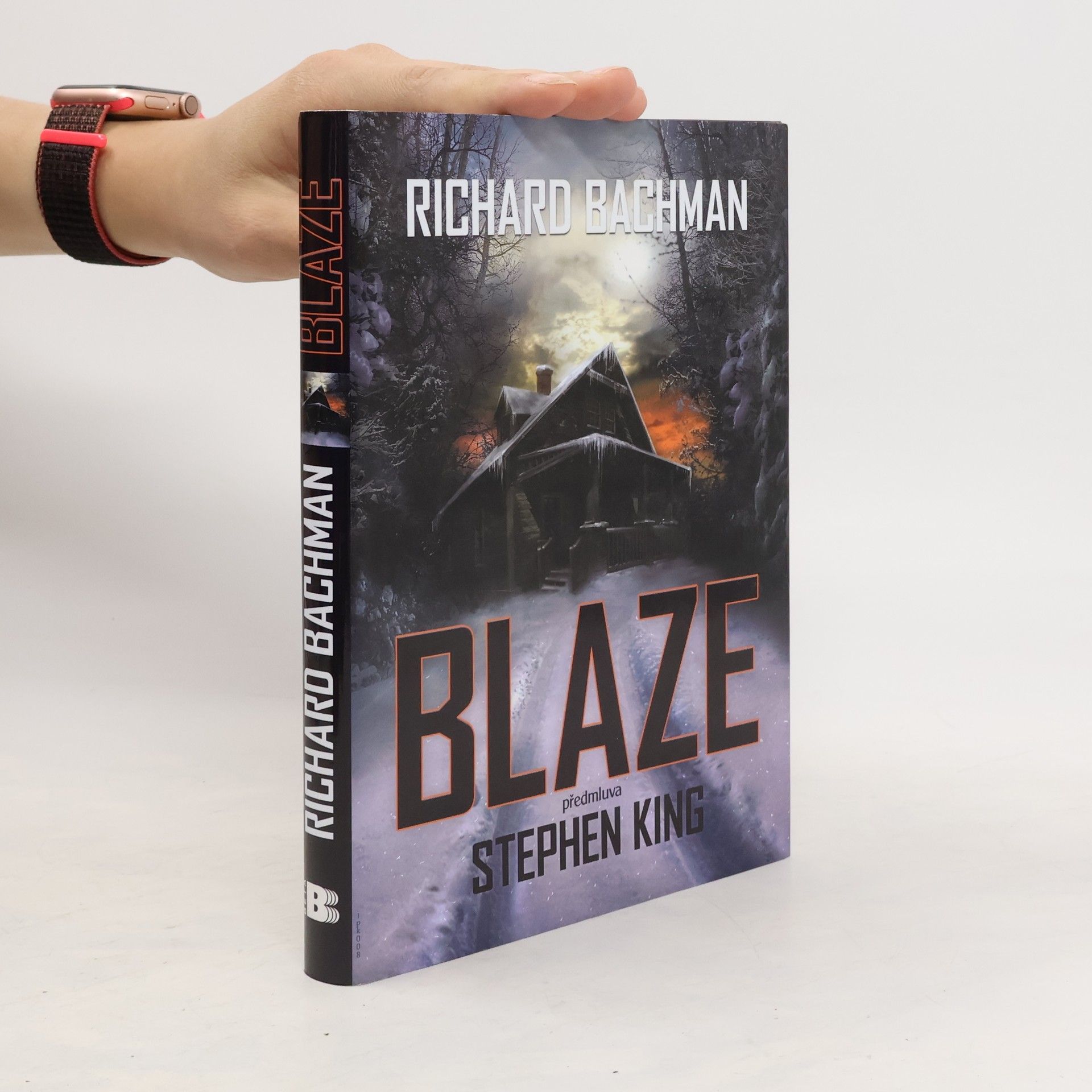 Stephen King Blaze