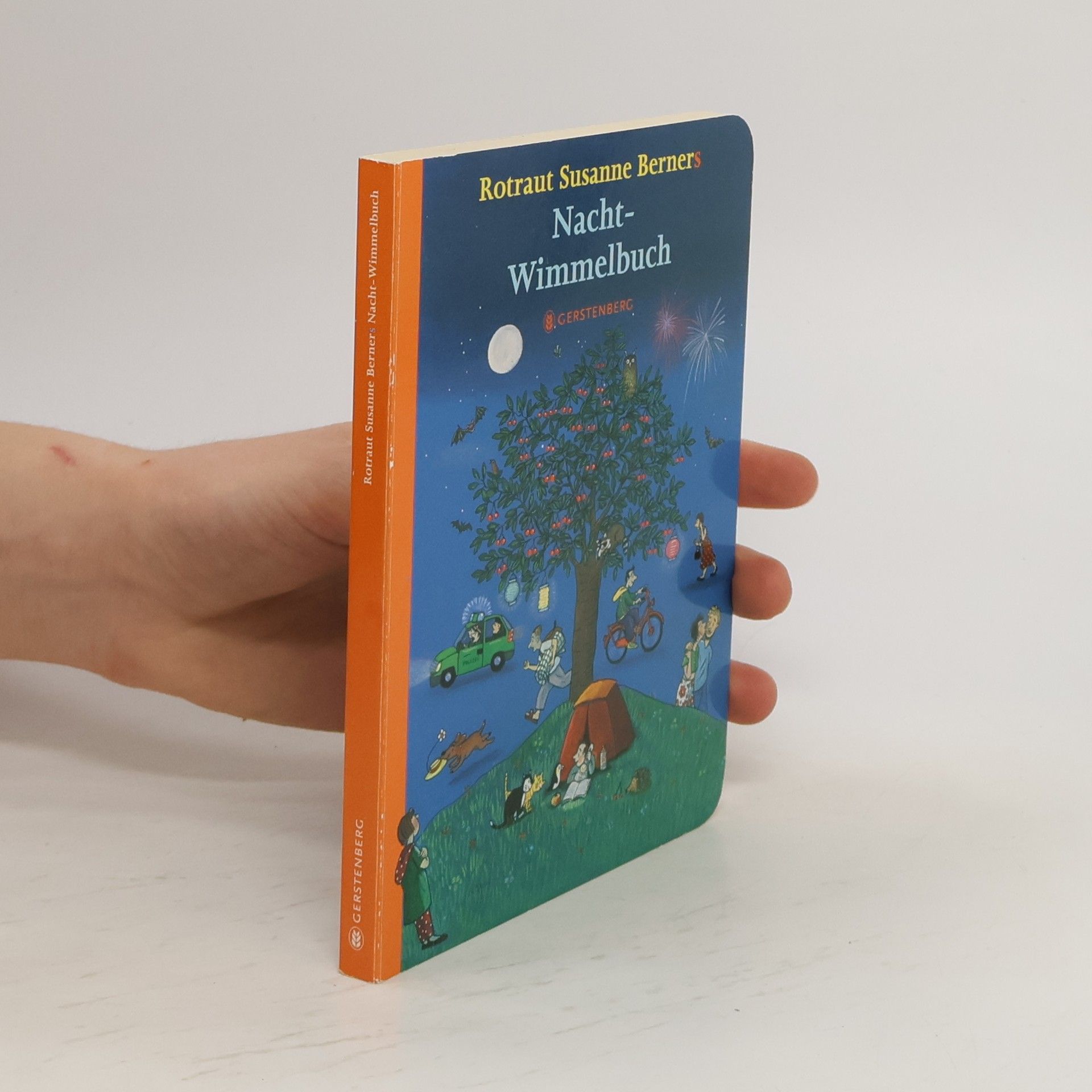 Rotraut Susanne Berner Rotraut Susanne Berners Nacht-Wimmelbuch