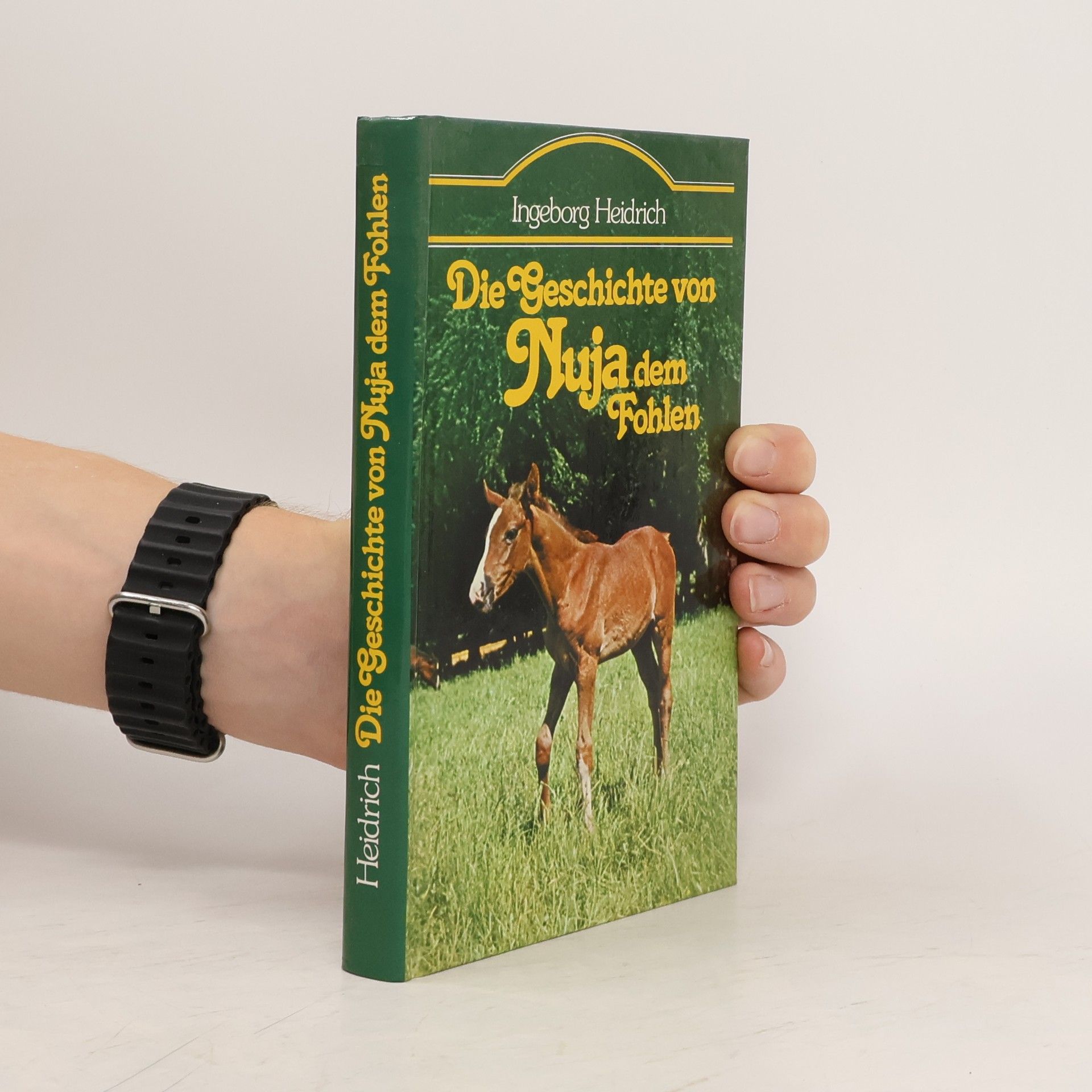 Ingeborg Heidrich Die Geschichte von Nuja dem Fohlen