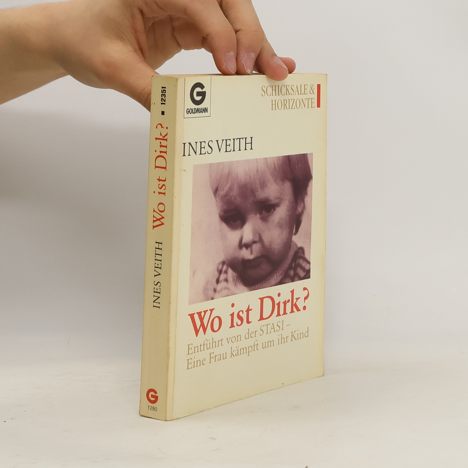 Ines Veith Wo ist Dirk?