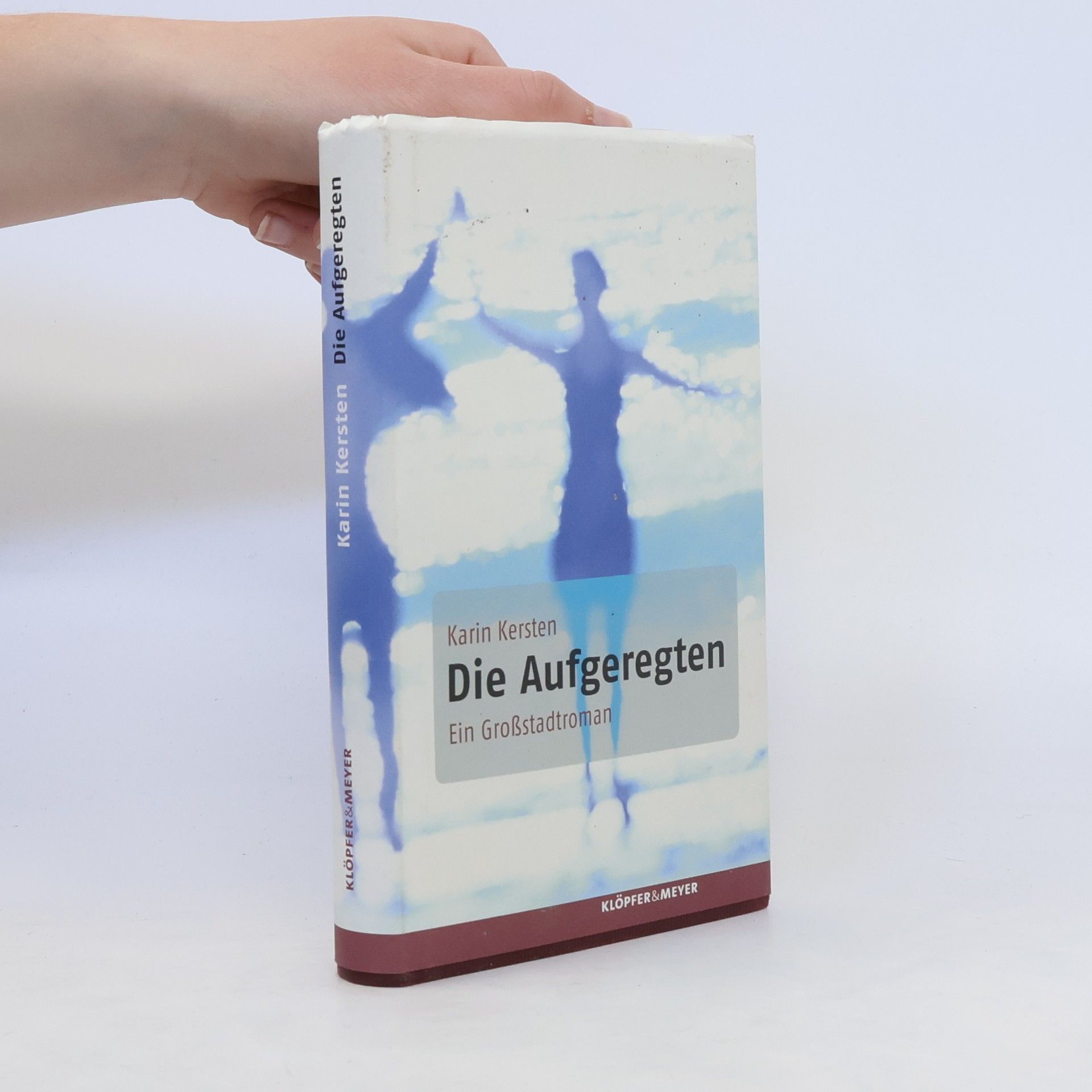 Karin Kersten Die Aufgeregten
