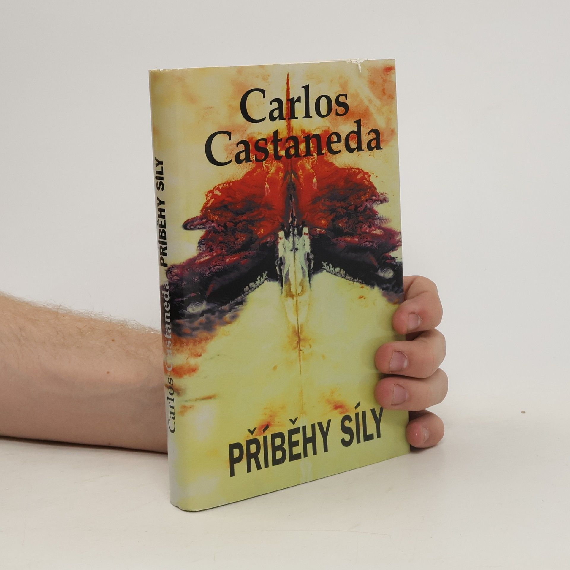 Carlos Castaneda Příběhy síly