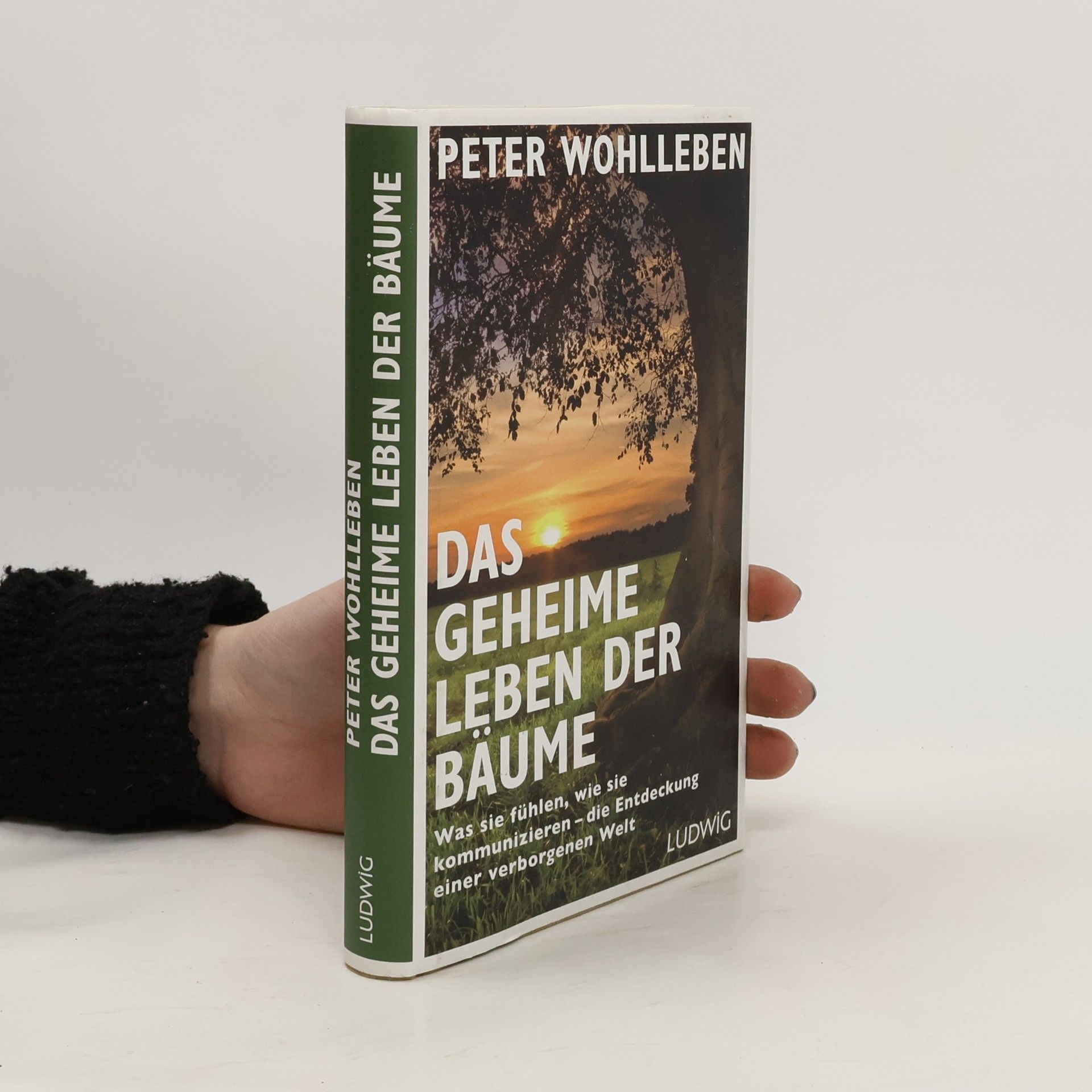 Peter Wohlleben Das geheime Leben der Bäume