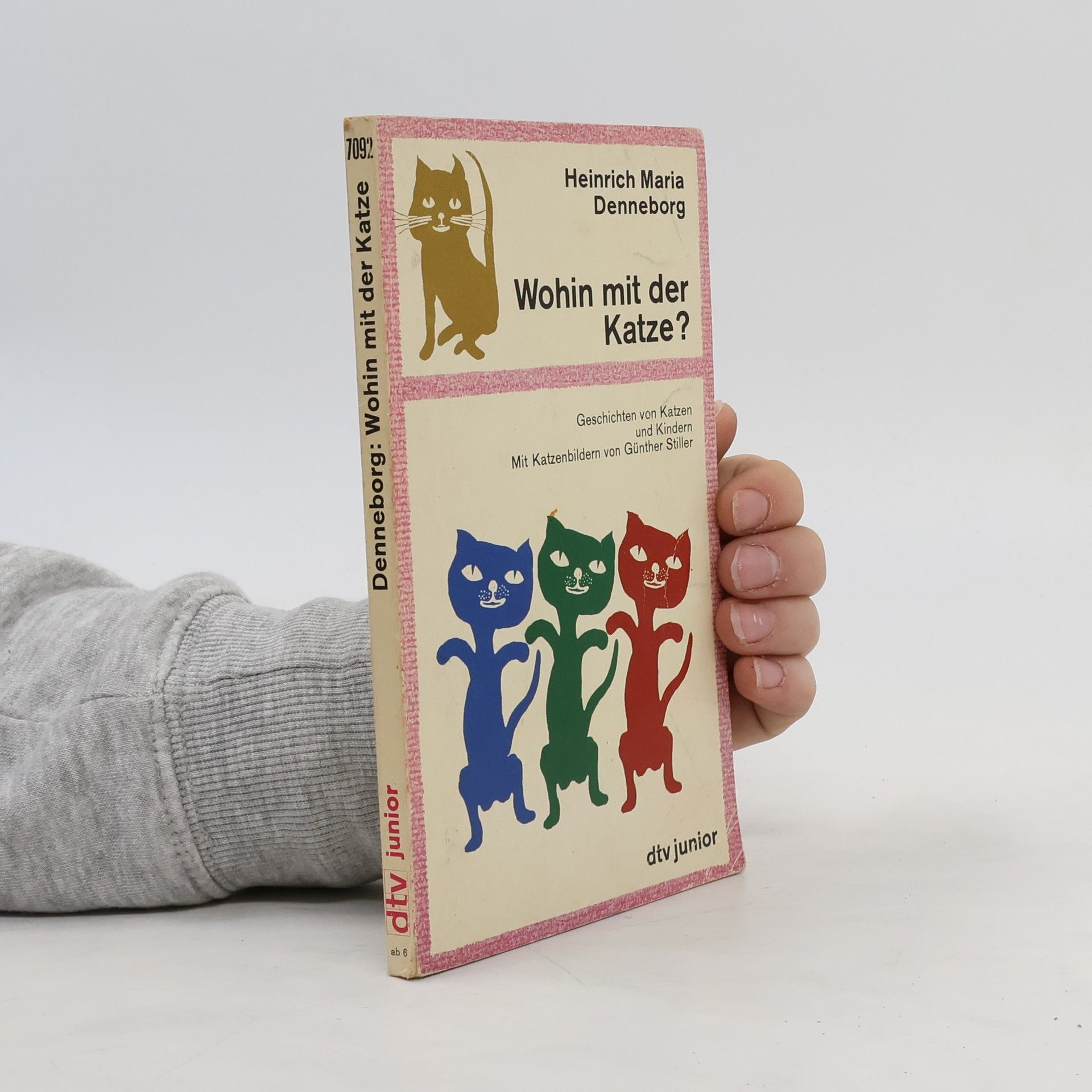 Heinrich Maria Denneborg Wohin mit der Katze?