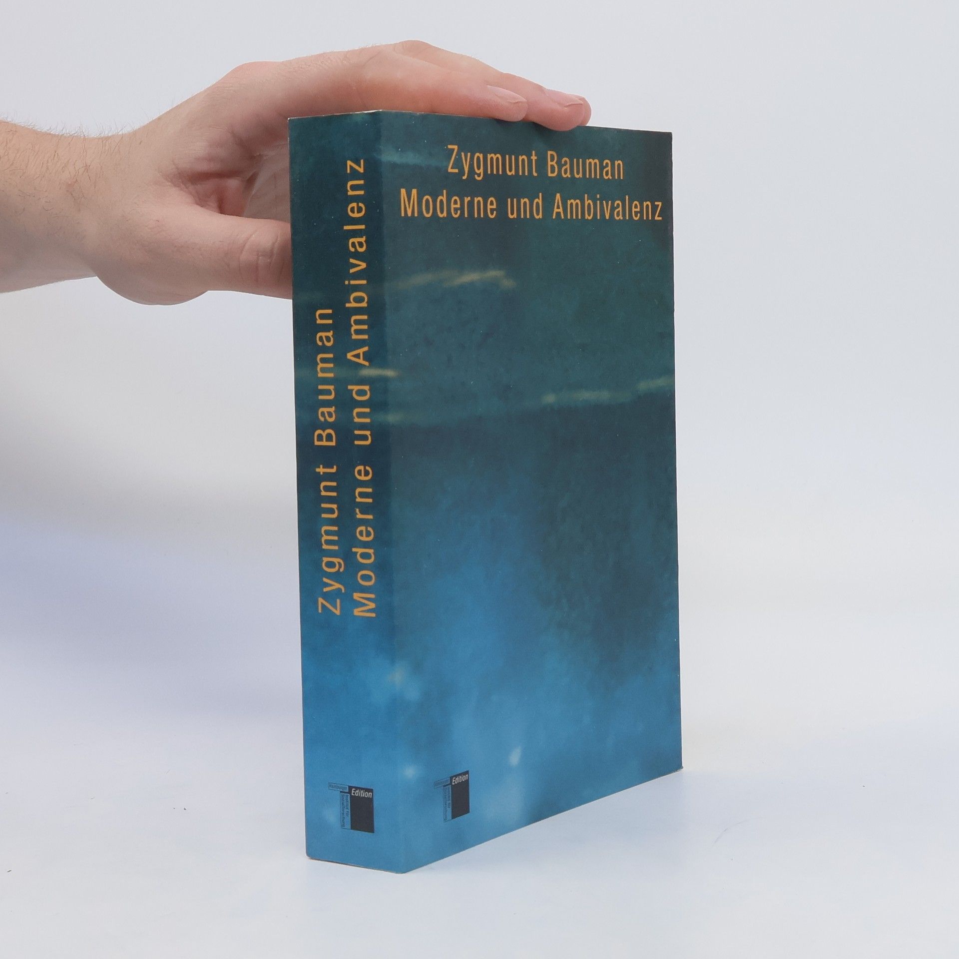 Zygmunt Bauman Moderne und Ambivalenz