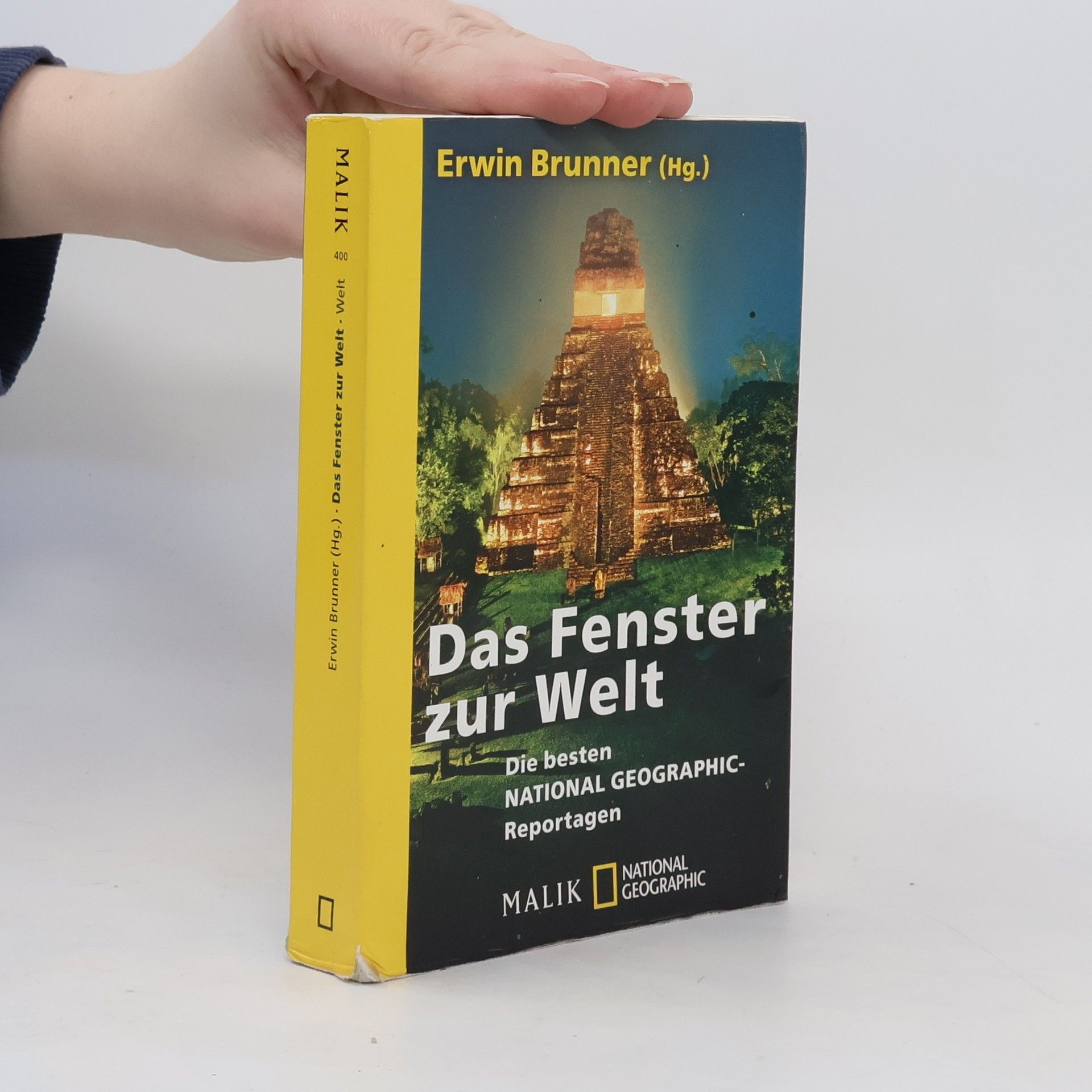 Erwin Brunner Das Fenster zur Welt