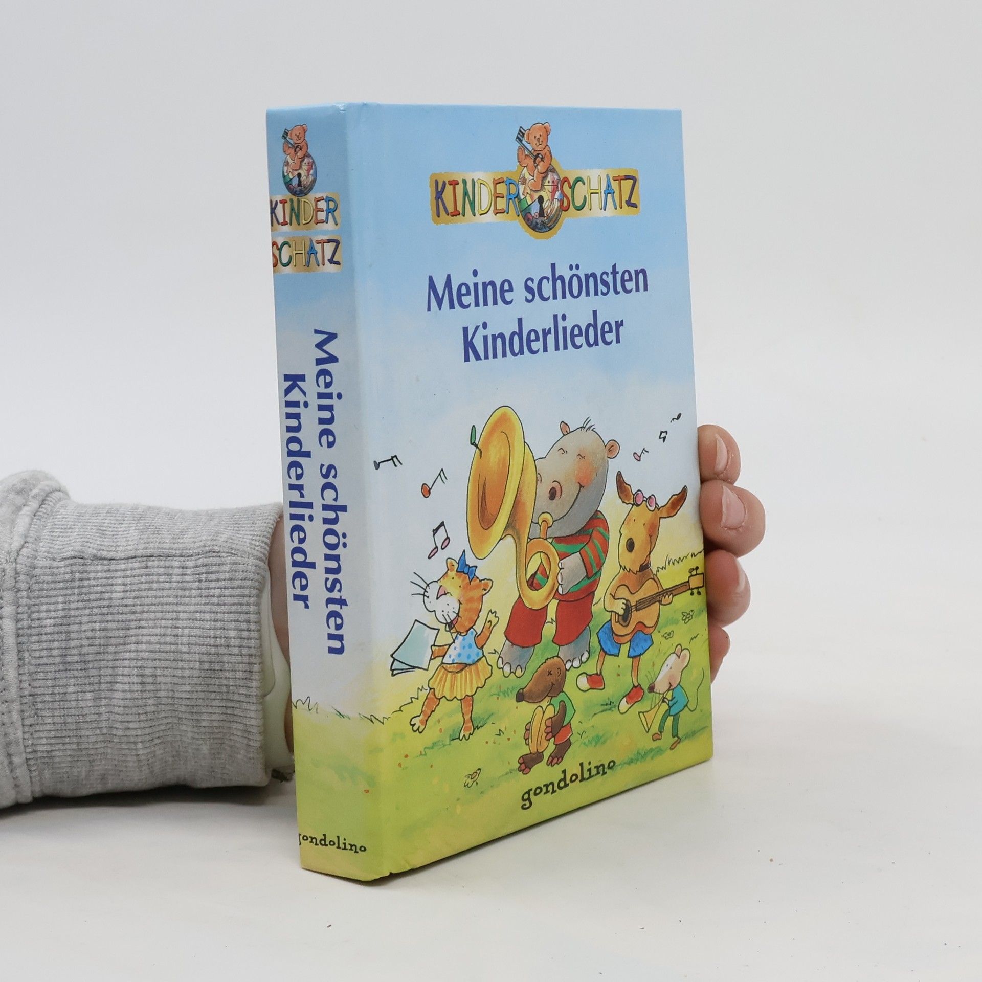 Collectif d'auteurs Meine schönsten Kinderlieder