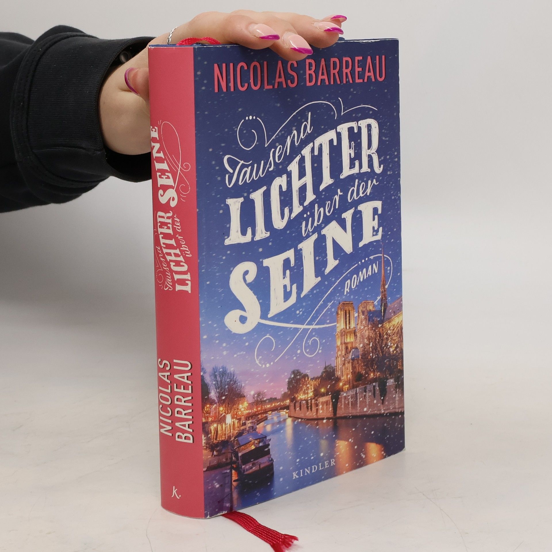 Nicolas Barreau Tausend Lichter über der Seine