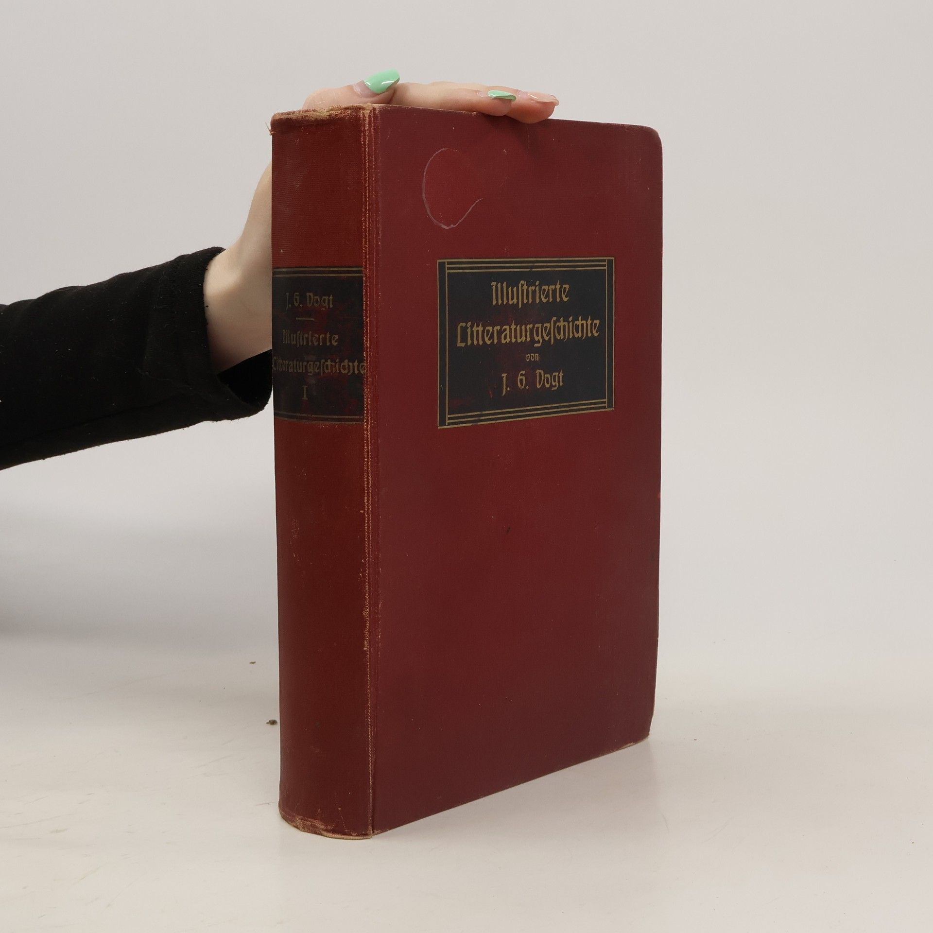 AA.VV. Illustrierte Geschichte der deutschen Literatur 1. Buch