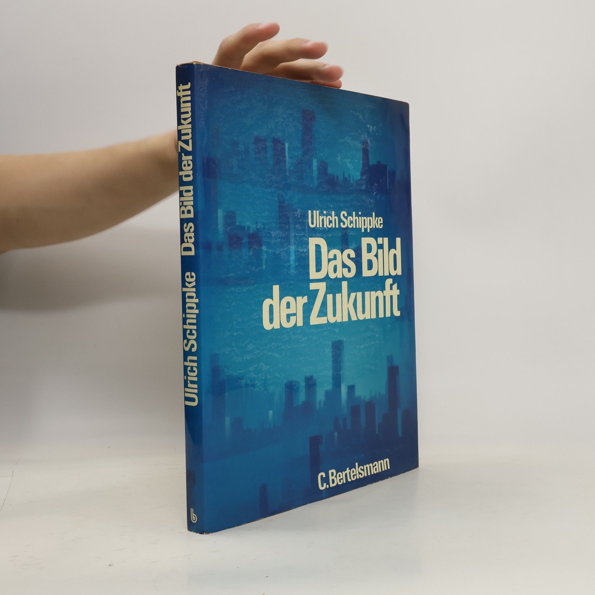 Ulrich Schippke Das Bild der Zukunft