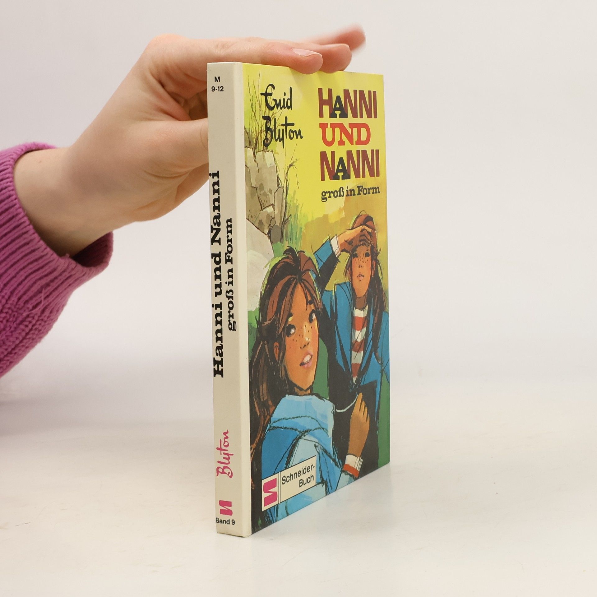 Enid Blyton Hanni und Nanni groß in Form