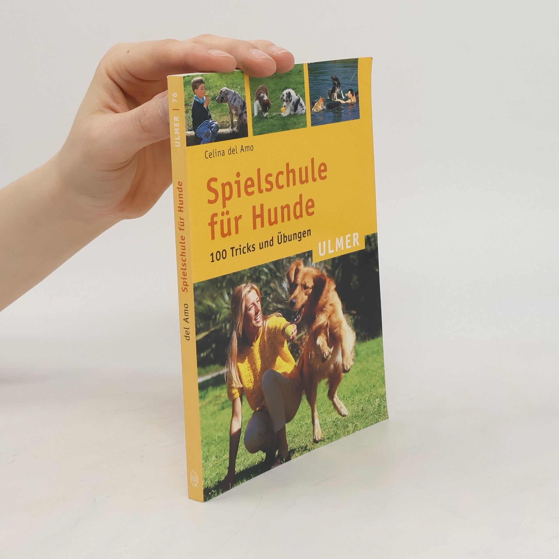 Celina Del Amo Spielschule für Hunde