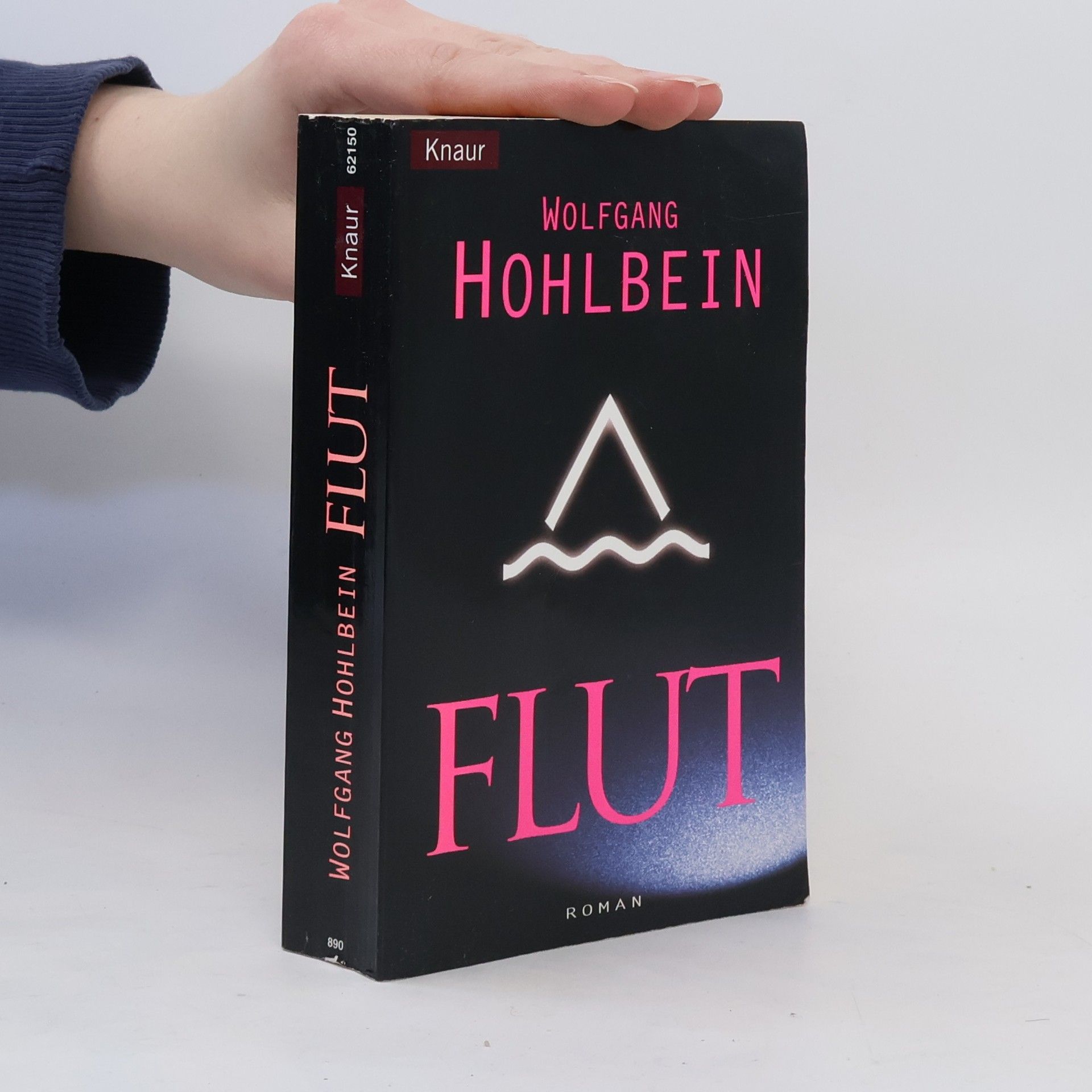 Wolfgang Hohlbein Flut