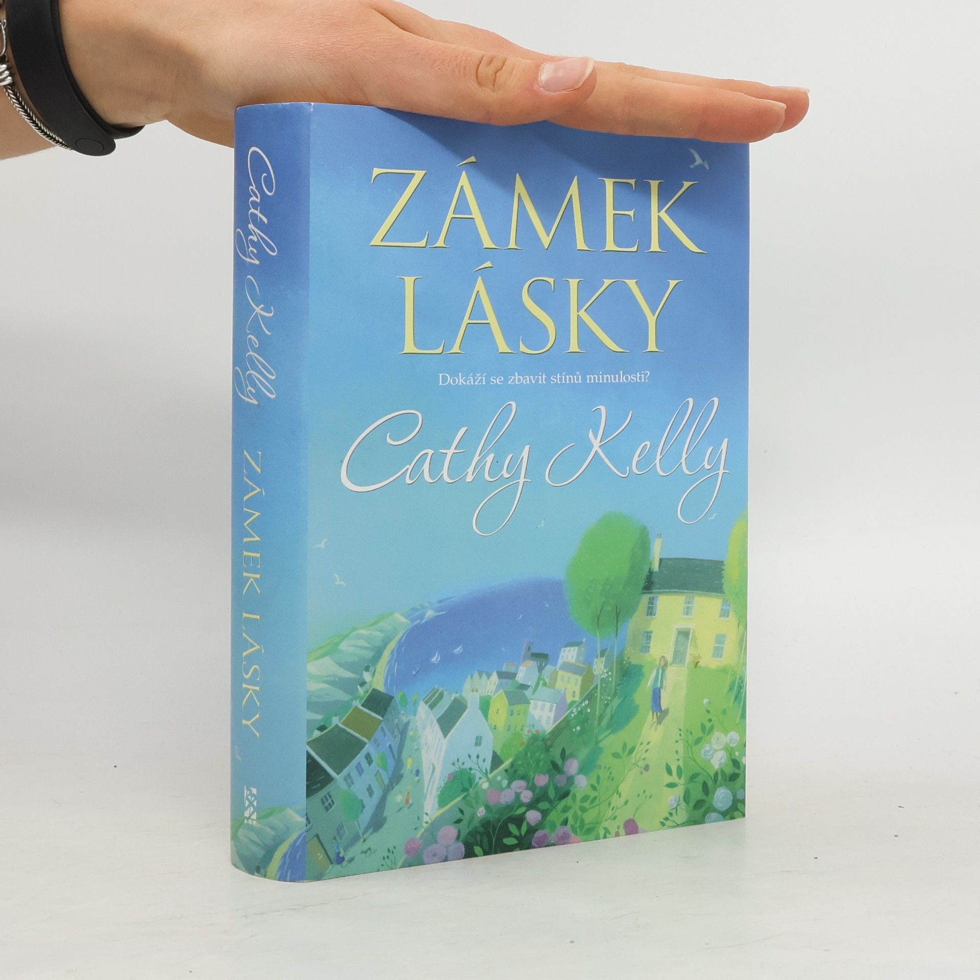 Cathy Kelly Zámek lásky
