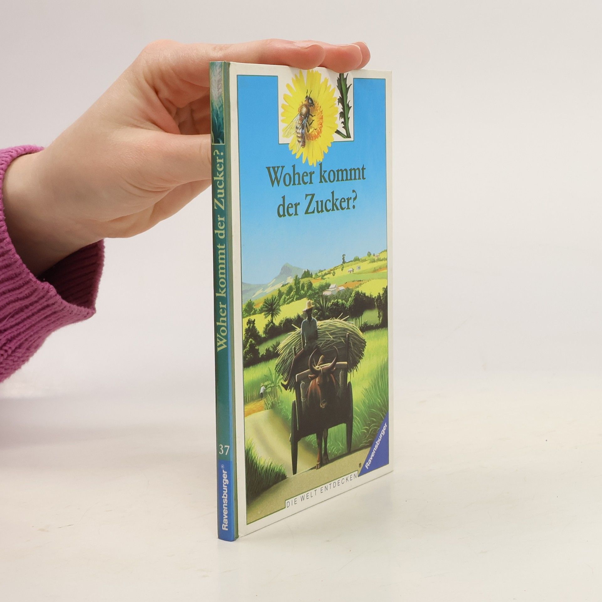 kolektiv Woher kommt der Zucker?