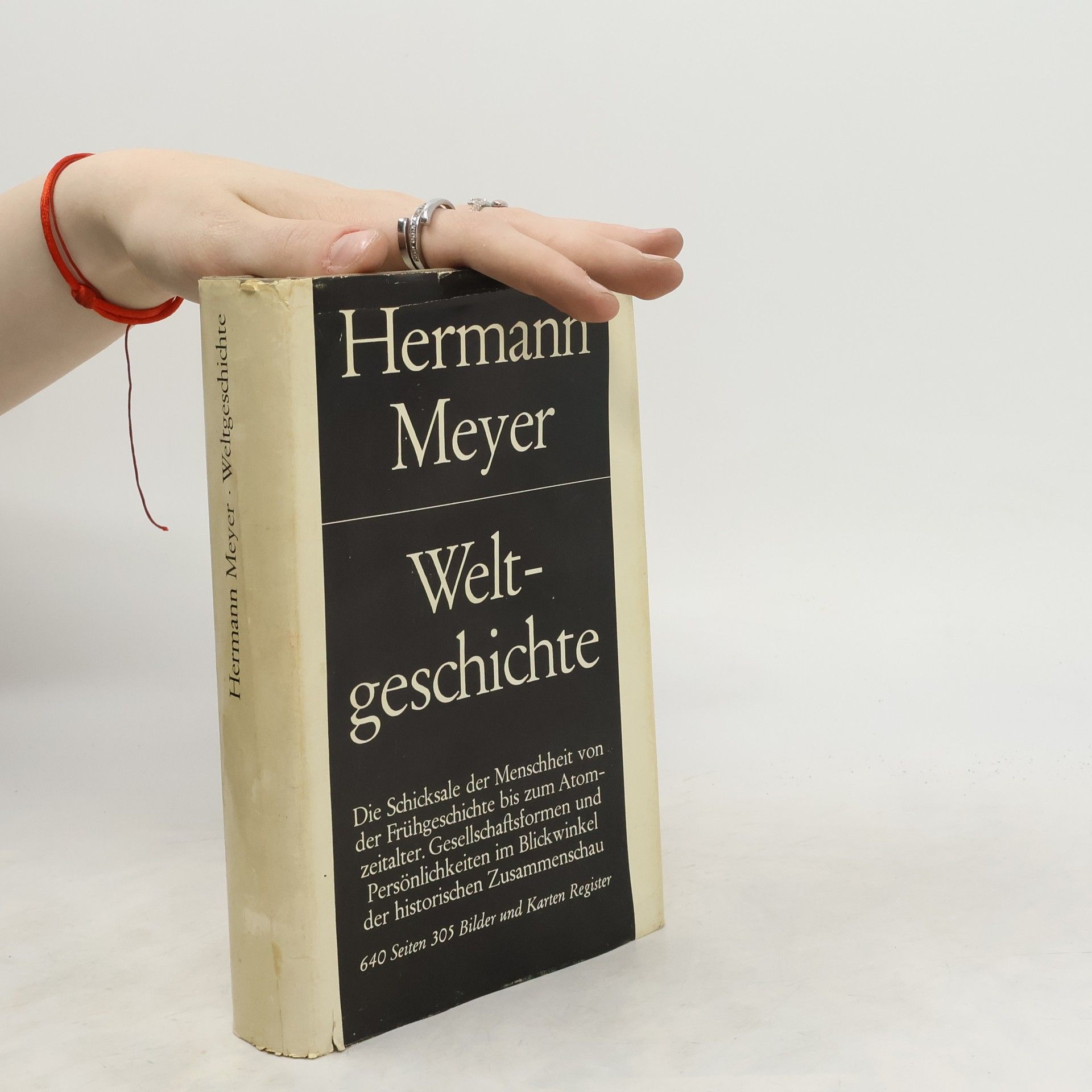 Herman Meyer Weltgeschichte