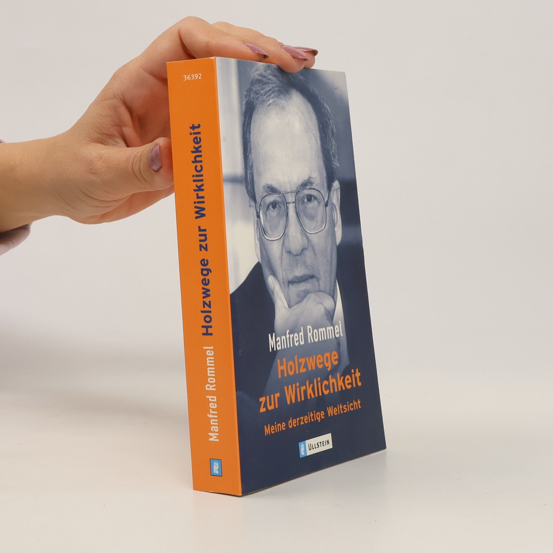 Manfred Rommel Holzwege zur Wirklichkeit