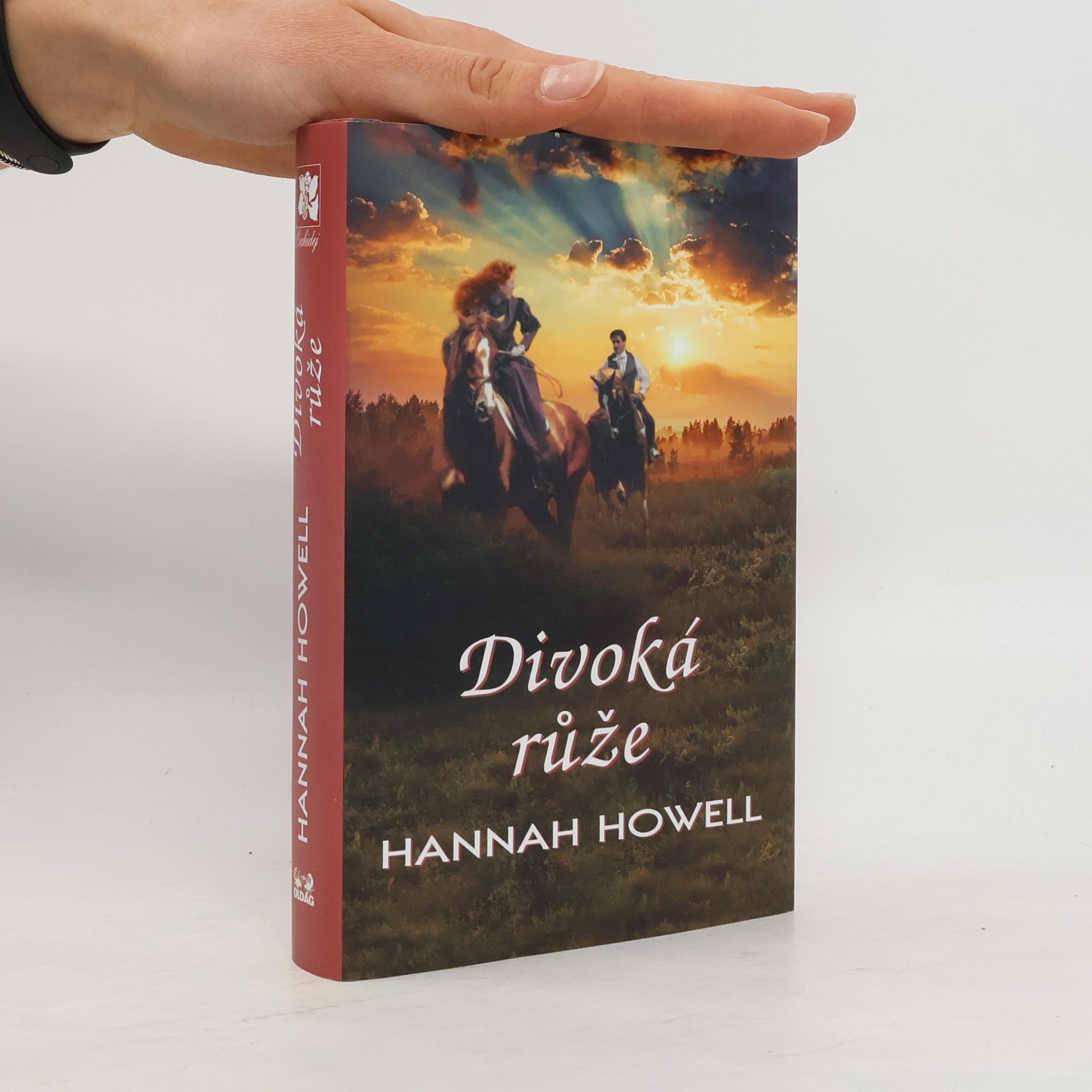 Hannah Howell Divoká růže