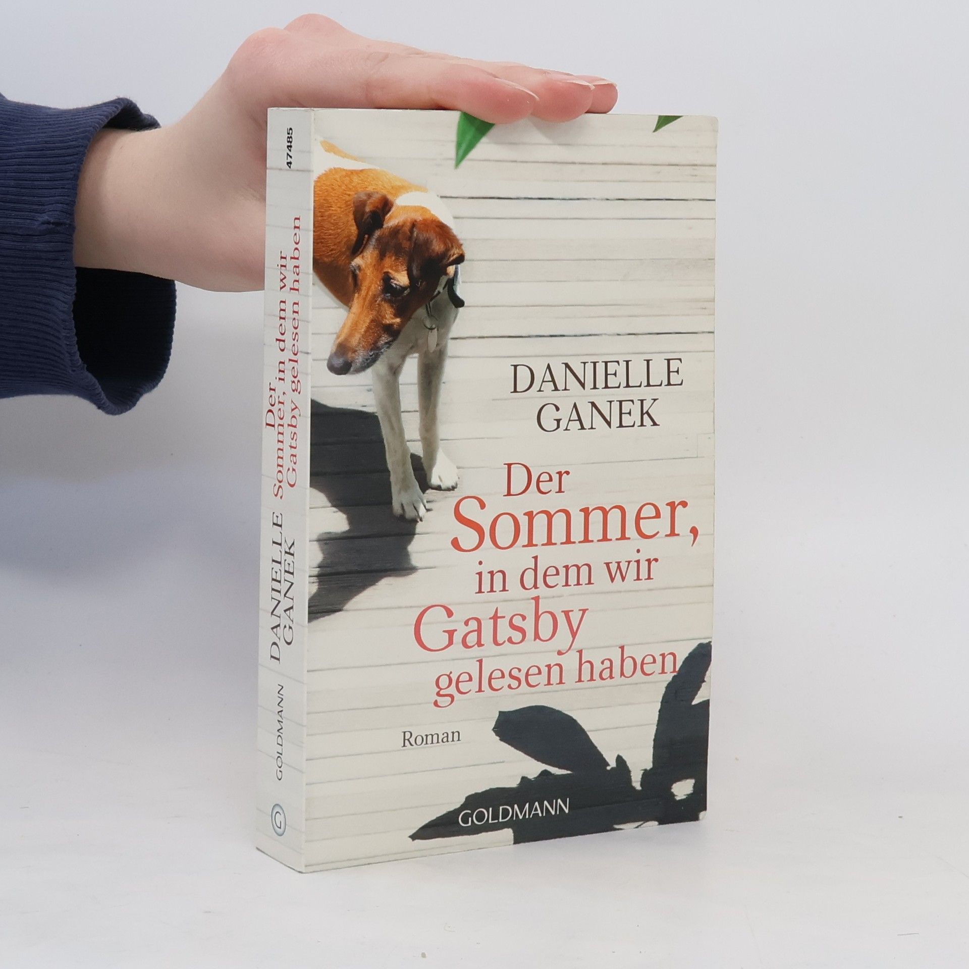 Danielle Ganek Der Sommer, in dem wir Gatsby gelesen haben