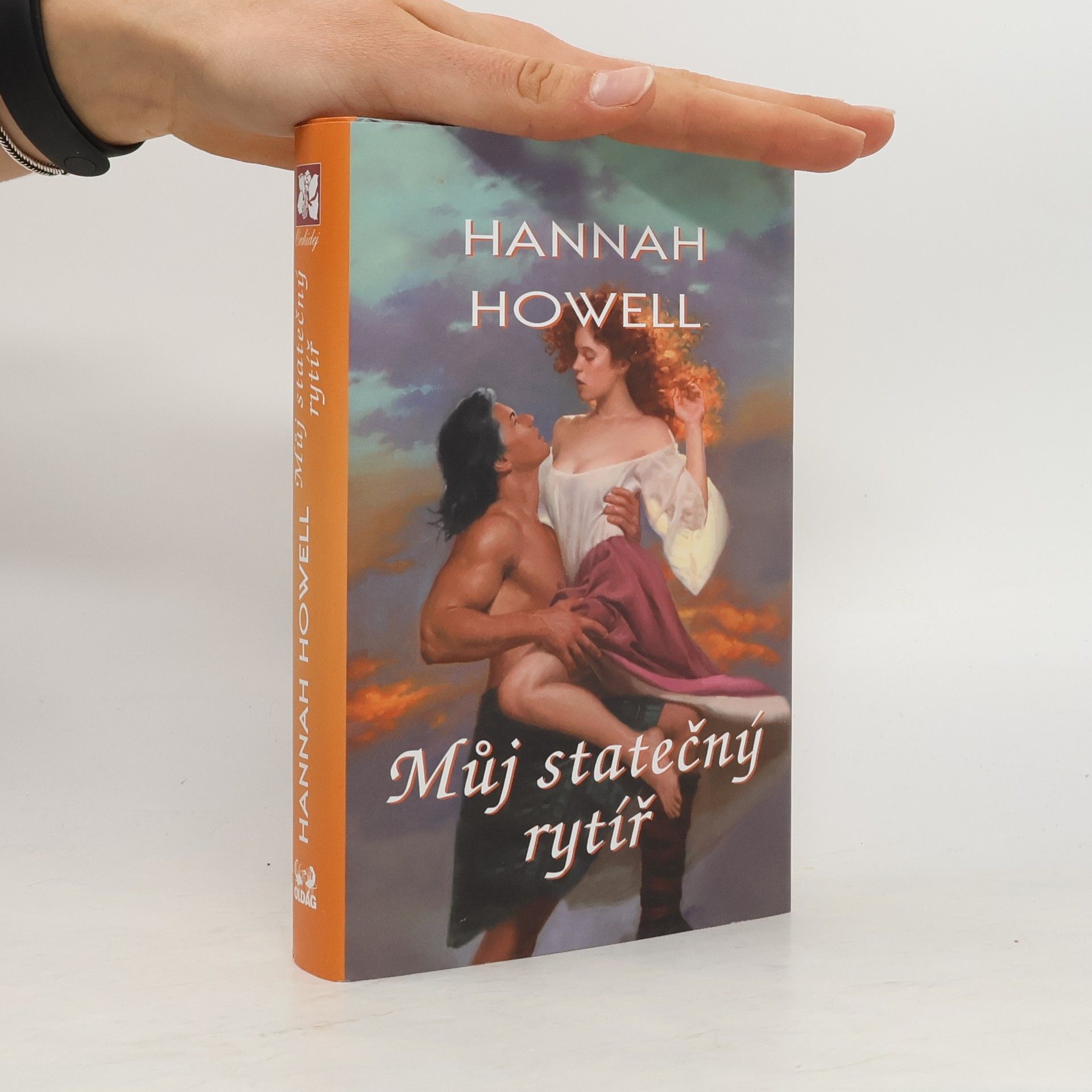 Hannah Howell Můj statečný rytíř