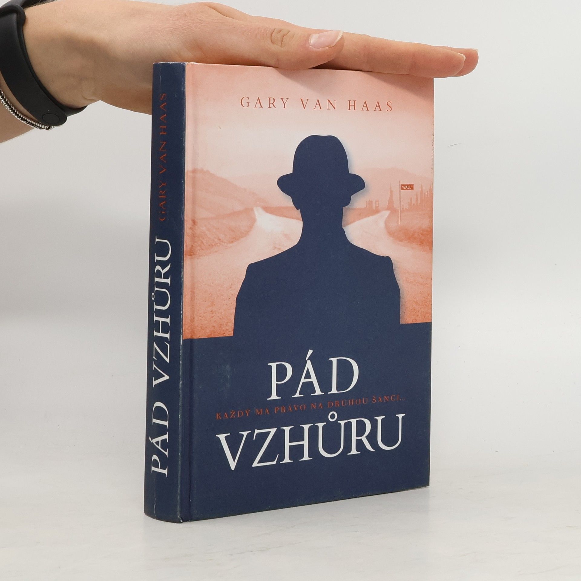 Gary van Haas Pád vzhůru