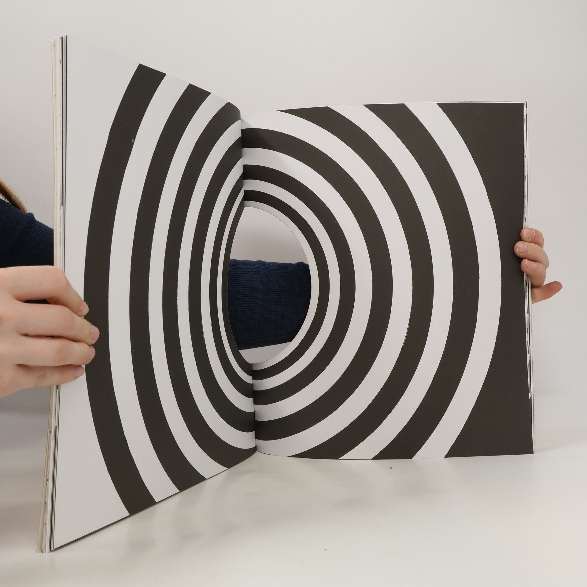 Hervé Tullet The book with a hole