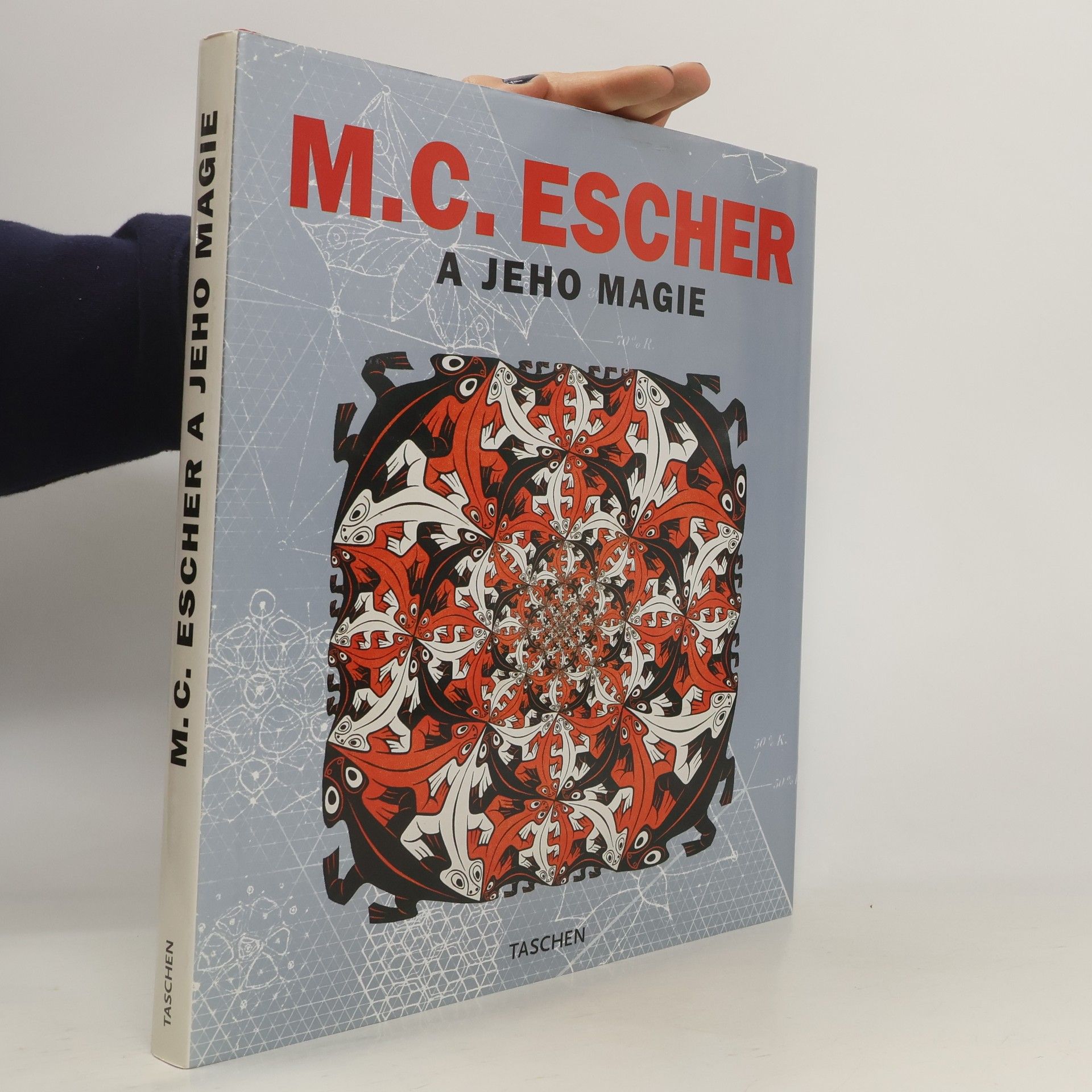 M. C. Escher M. C. Escher a jeho magie