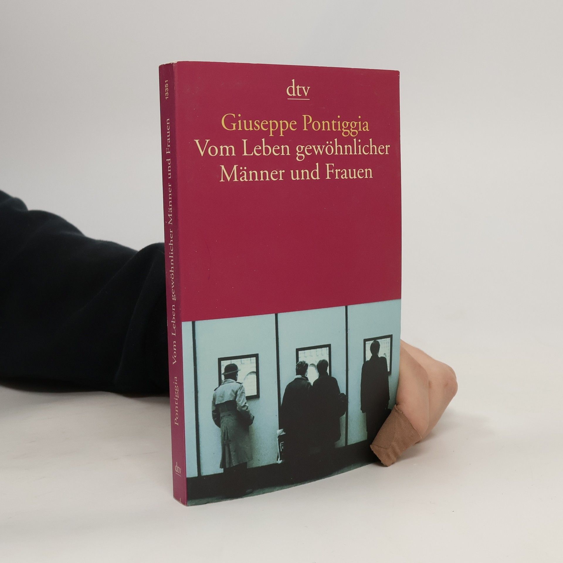Giuseppe Pontiggia Vom Leben gewöhnlicher Männer und Frauen