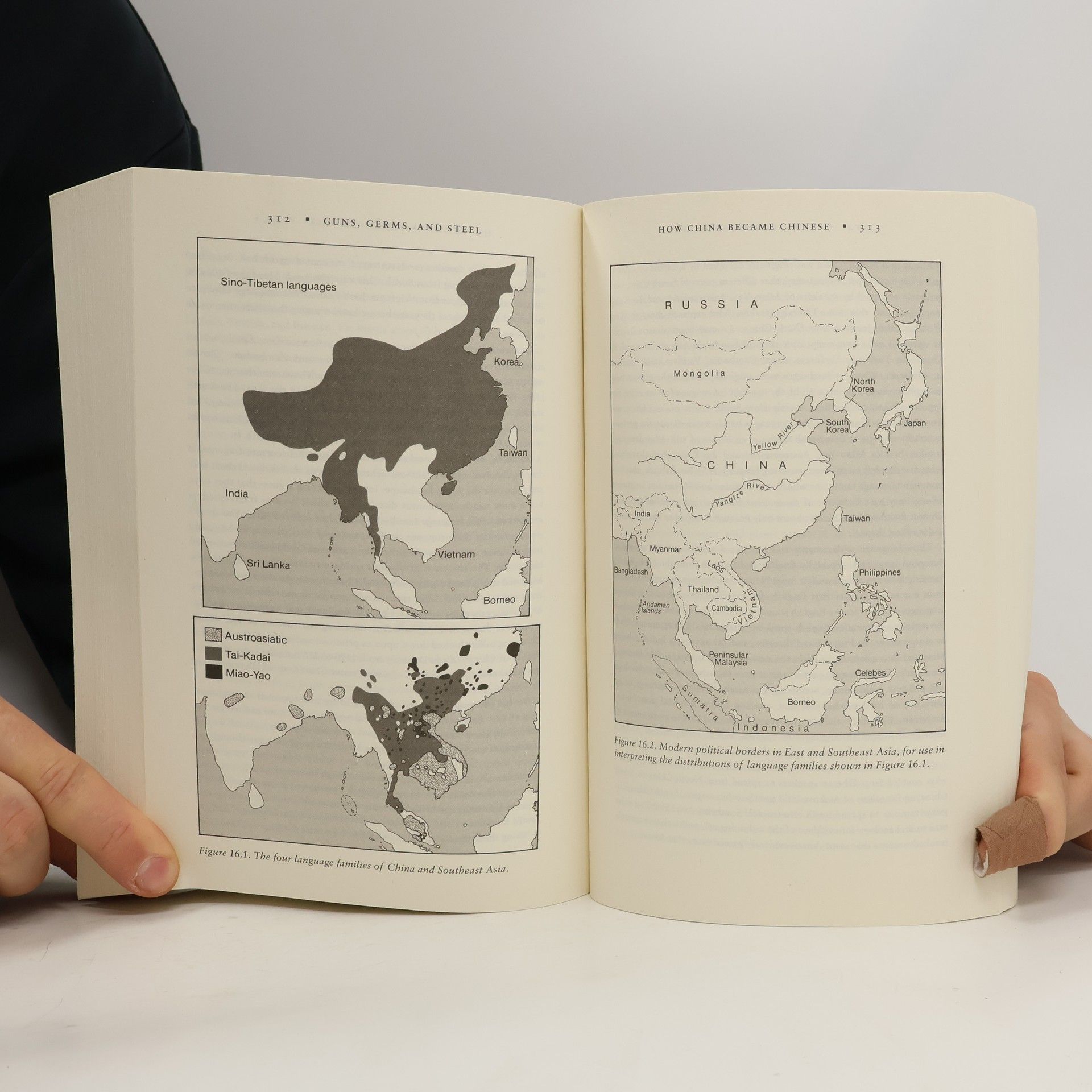Jared Diamond Guns, germs, and steel : the fates of human societies