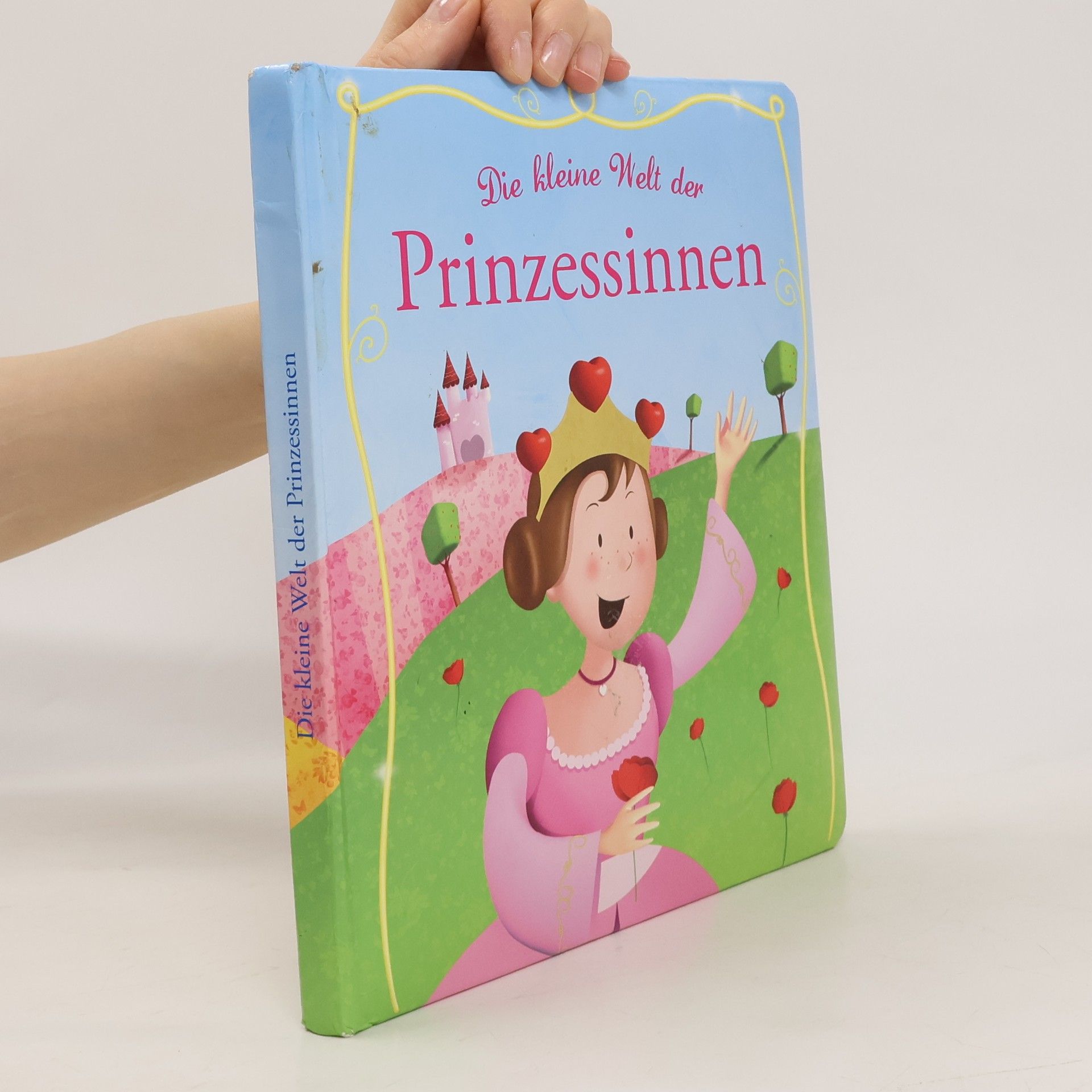 Autorenkollektiv Die kleine Welt der Prinzessinnen