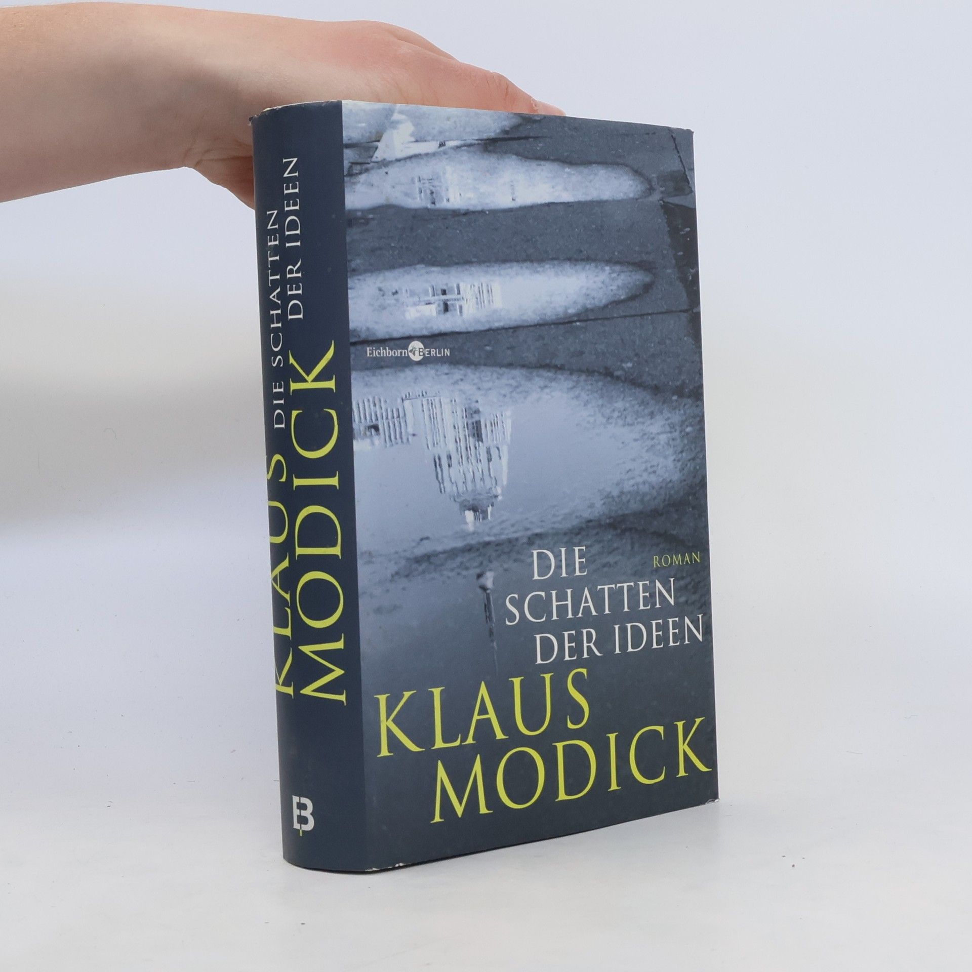 Klaus Modick Die Schatten der Ideen